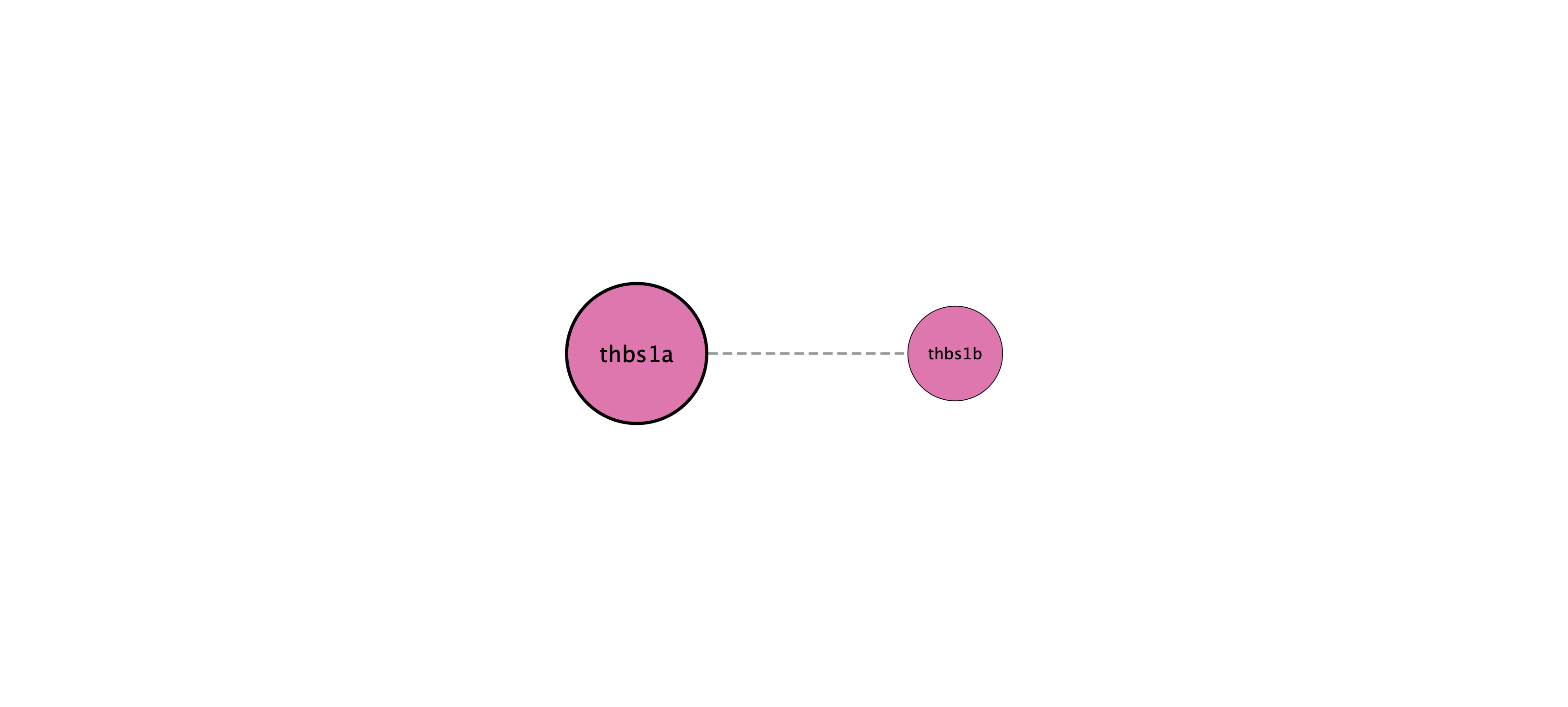 thbs1a protein interaction network