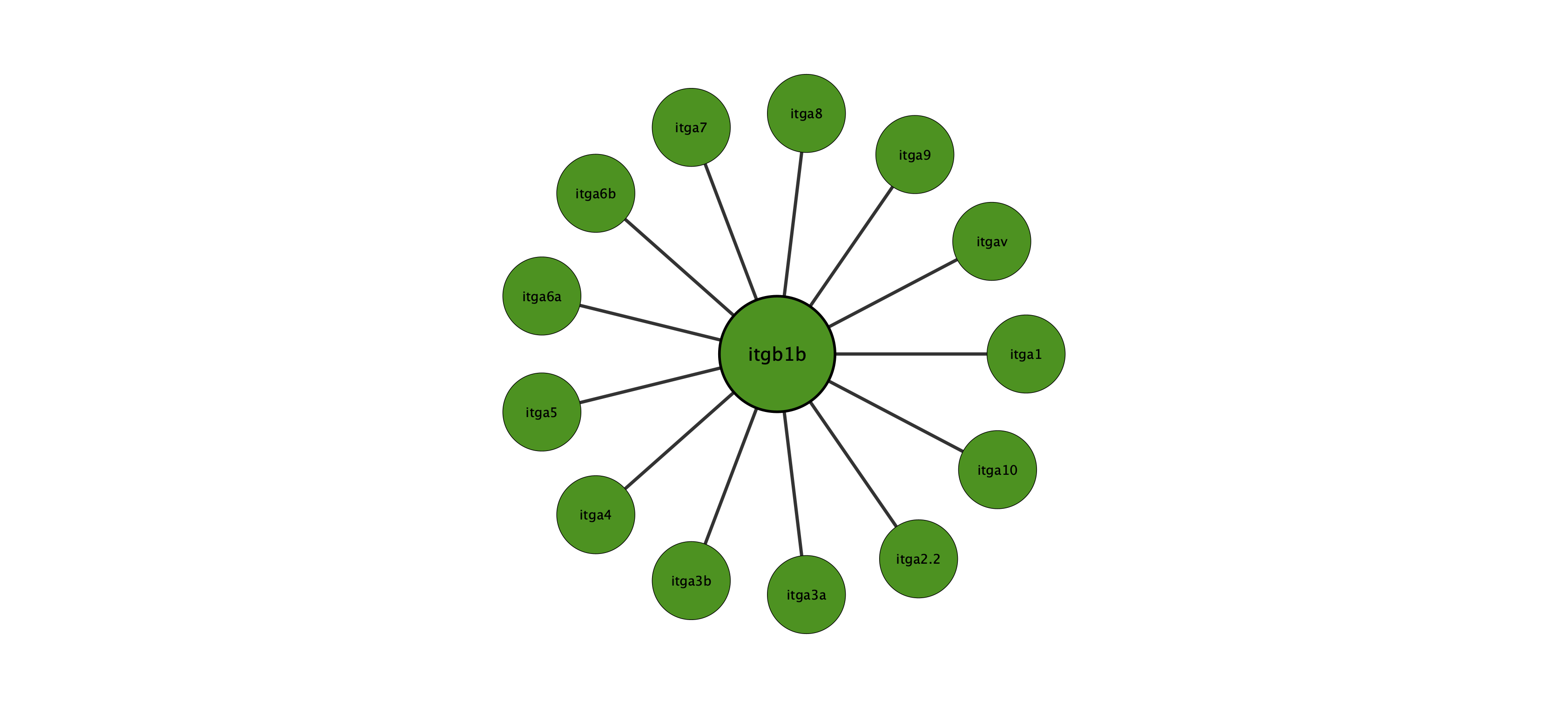 itgb1b protein interaction network