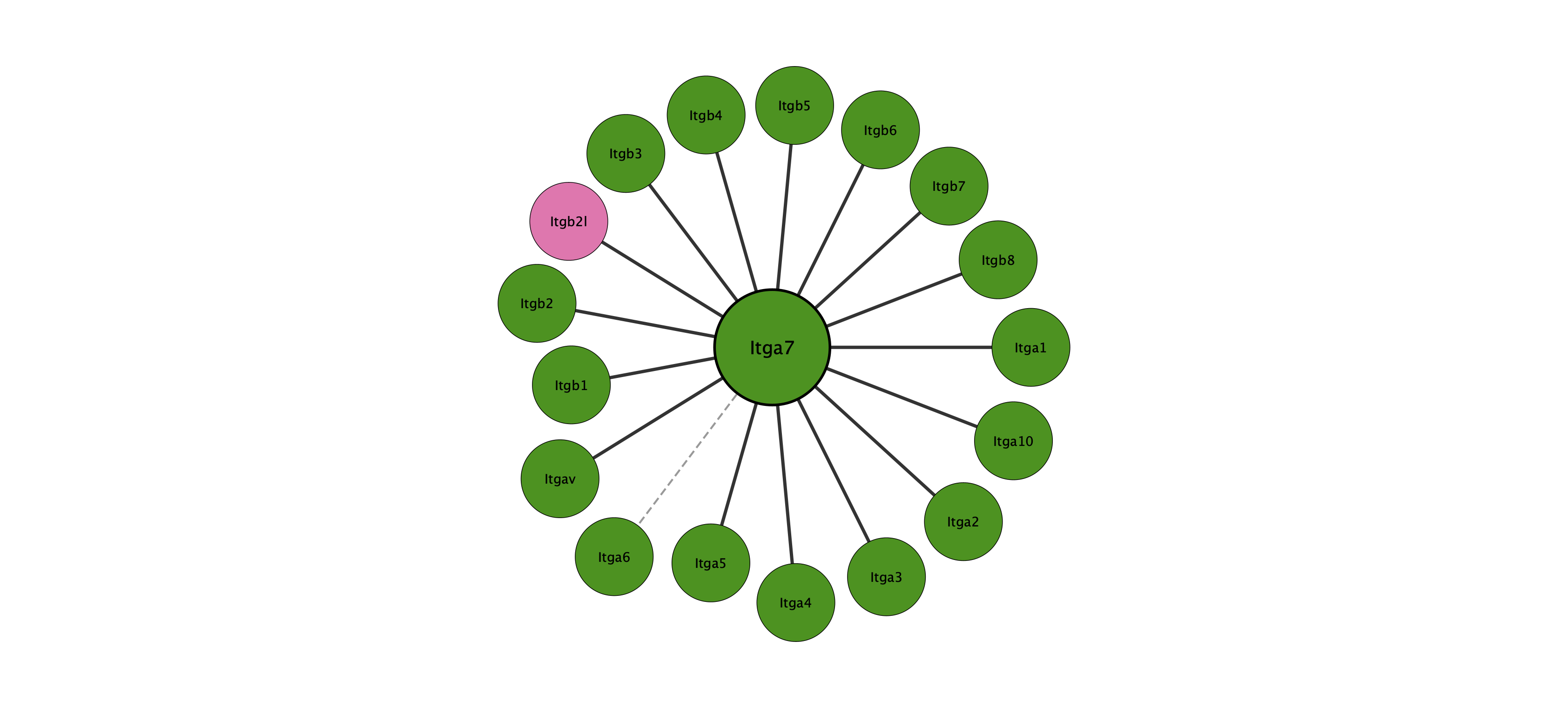 Itga7 protein interaction network