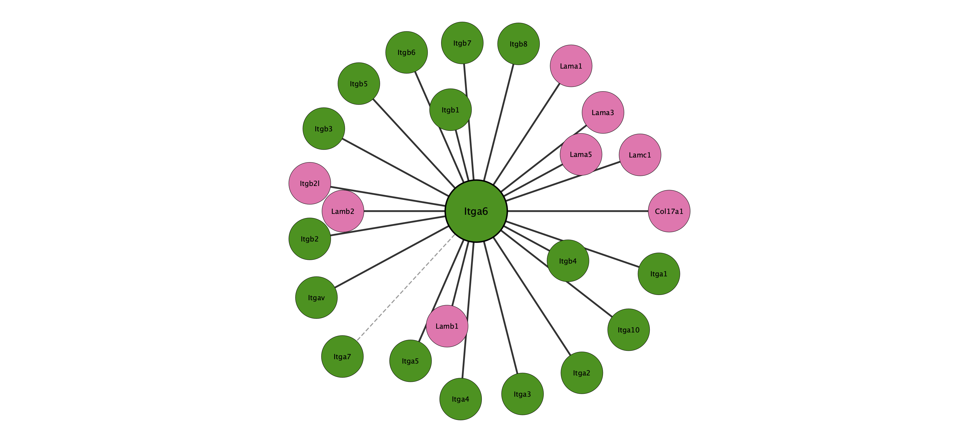 Itga6 protein interaction network