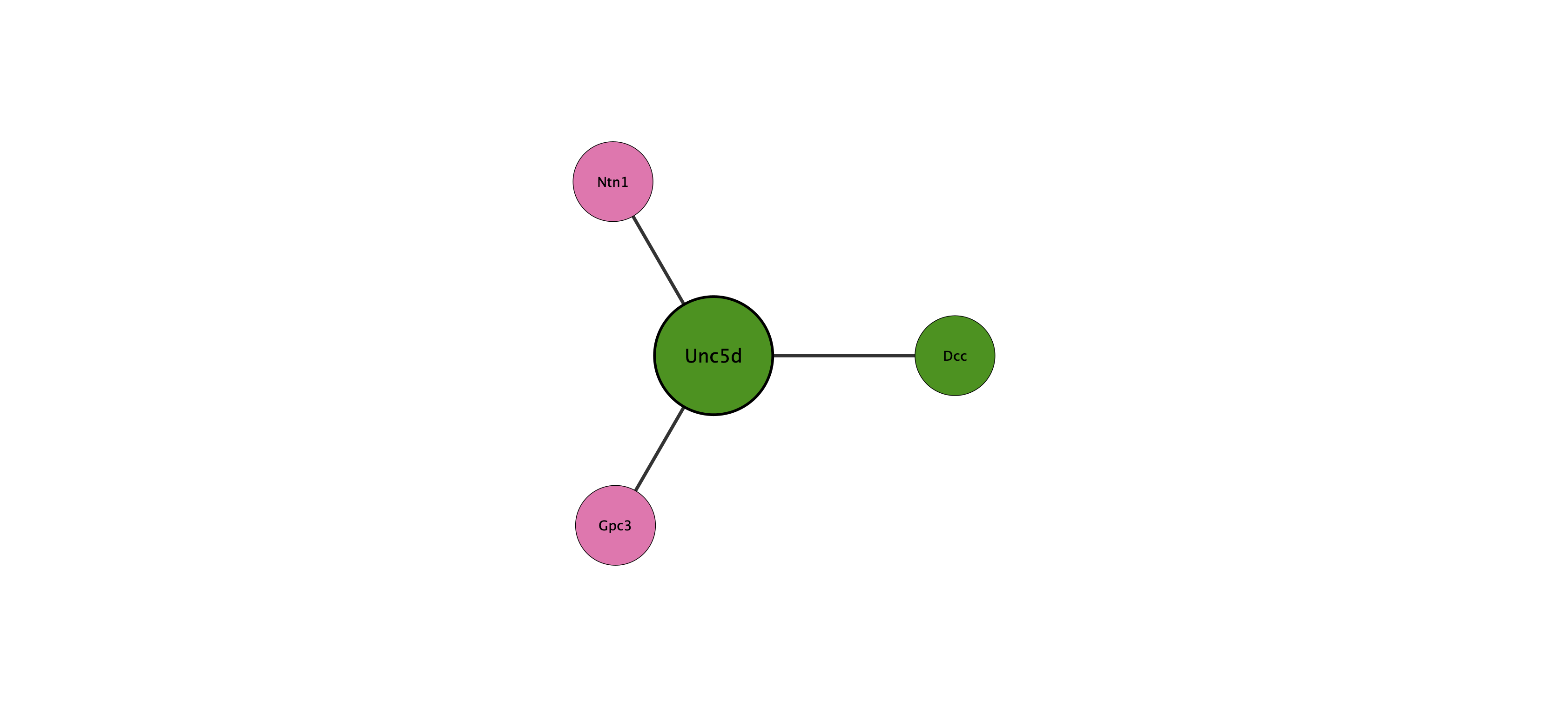 Unc5d protein interaction network