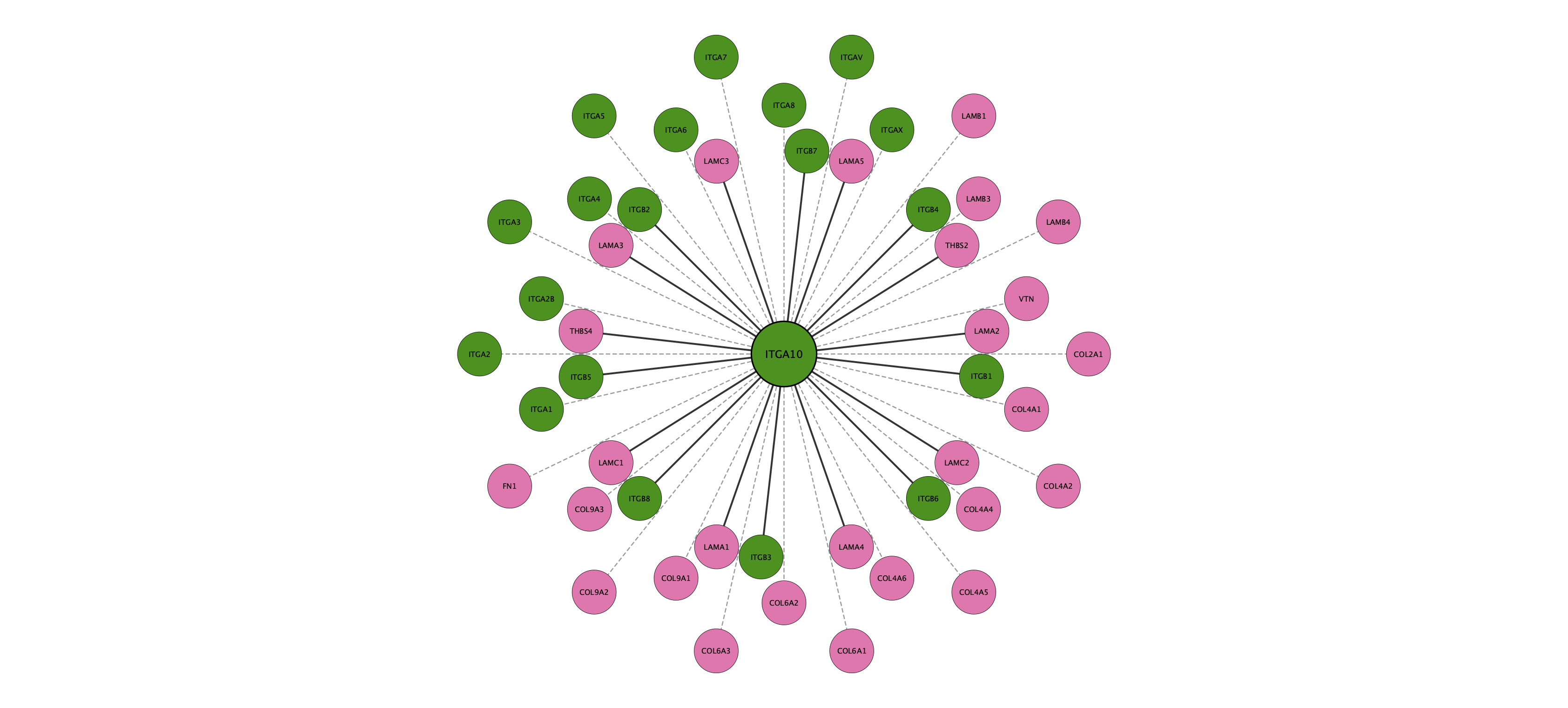 ITGA10 protein interaction network