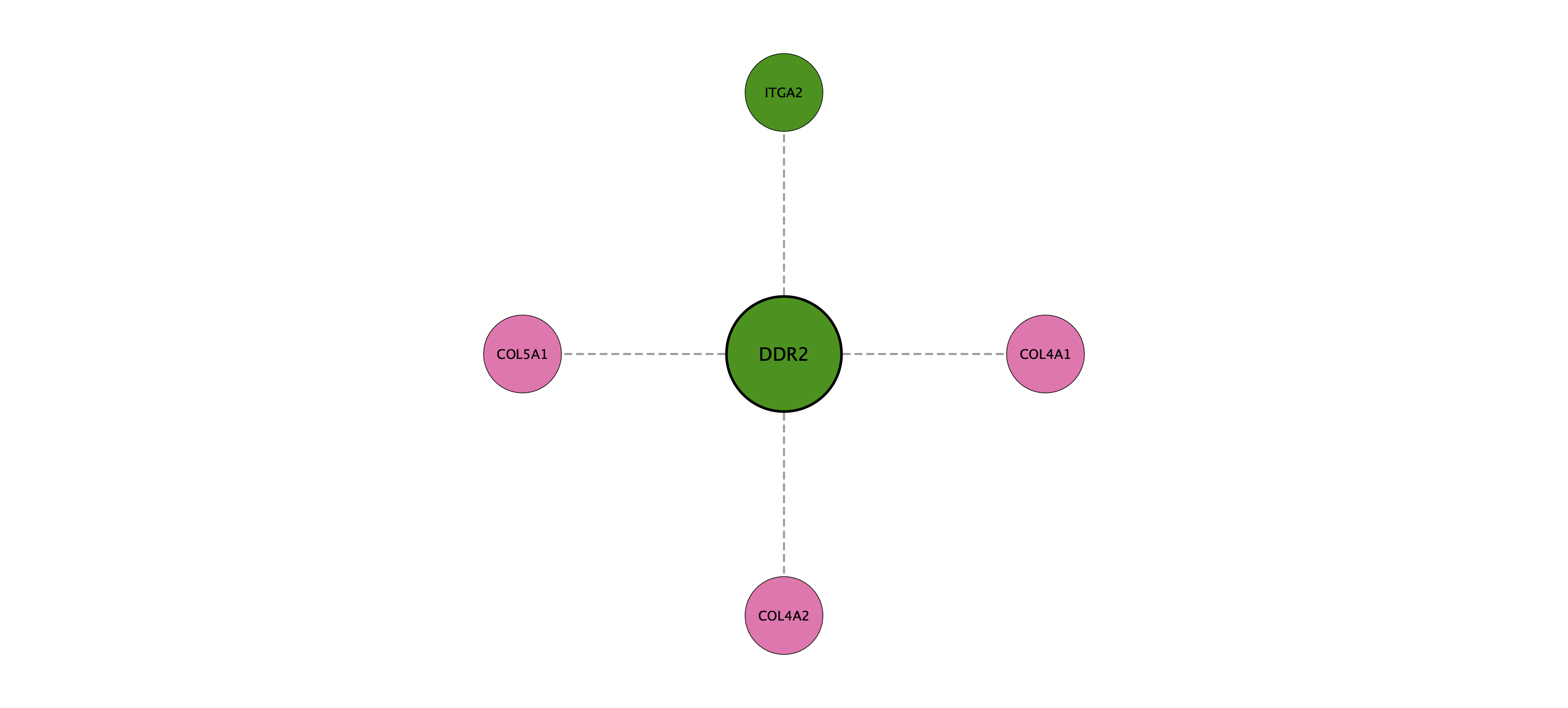 DDR2 protein interaction network