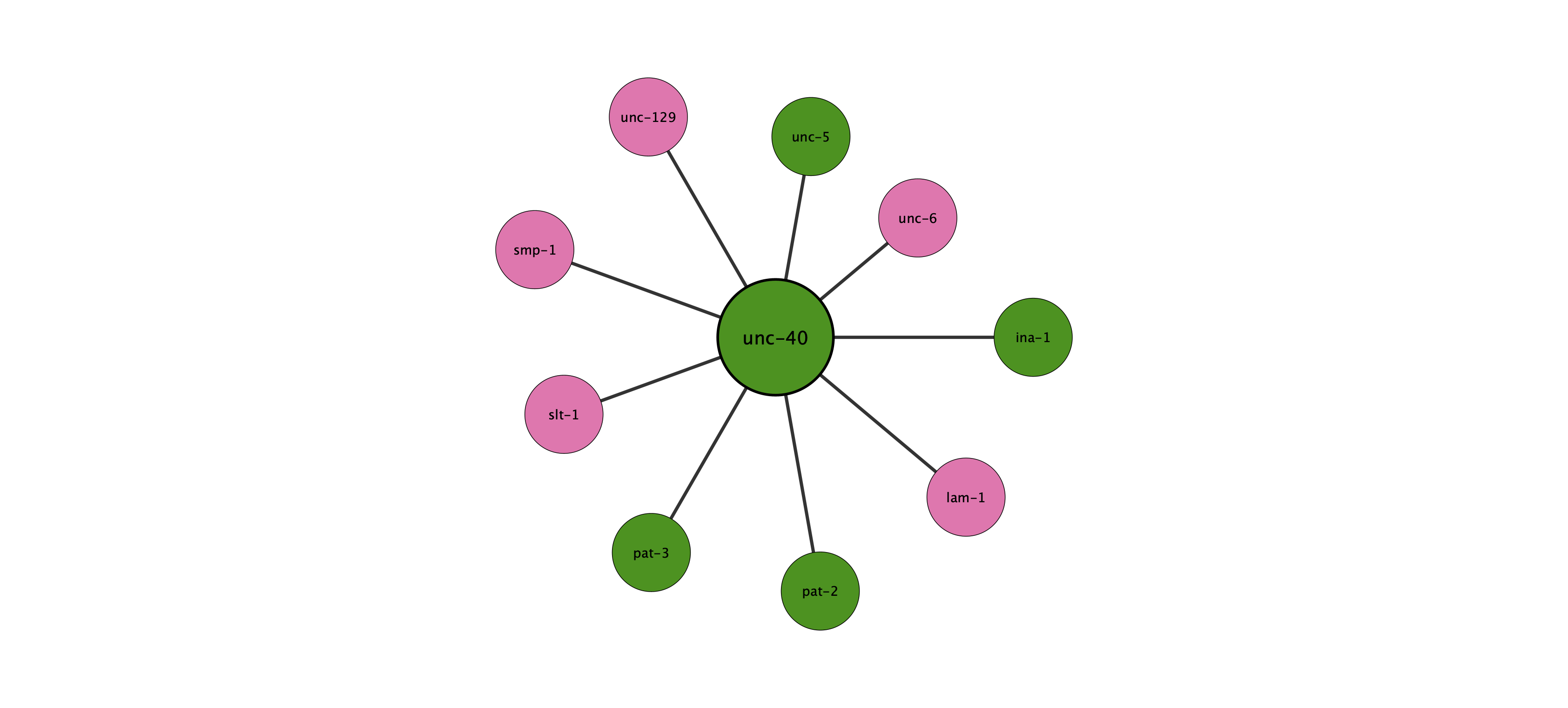 unc-40 protein interaction network