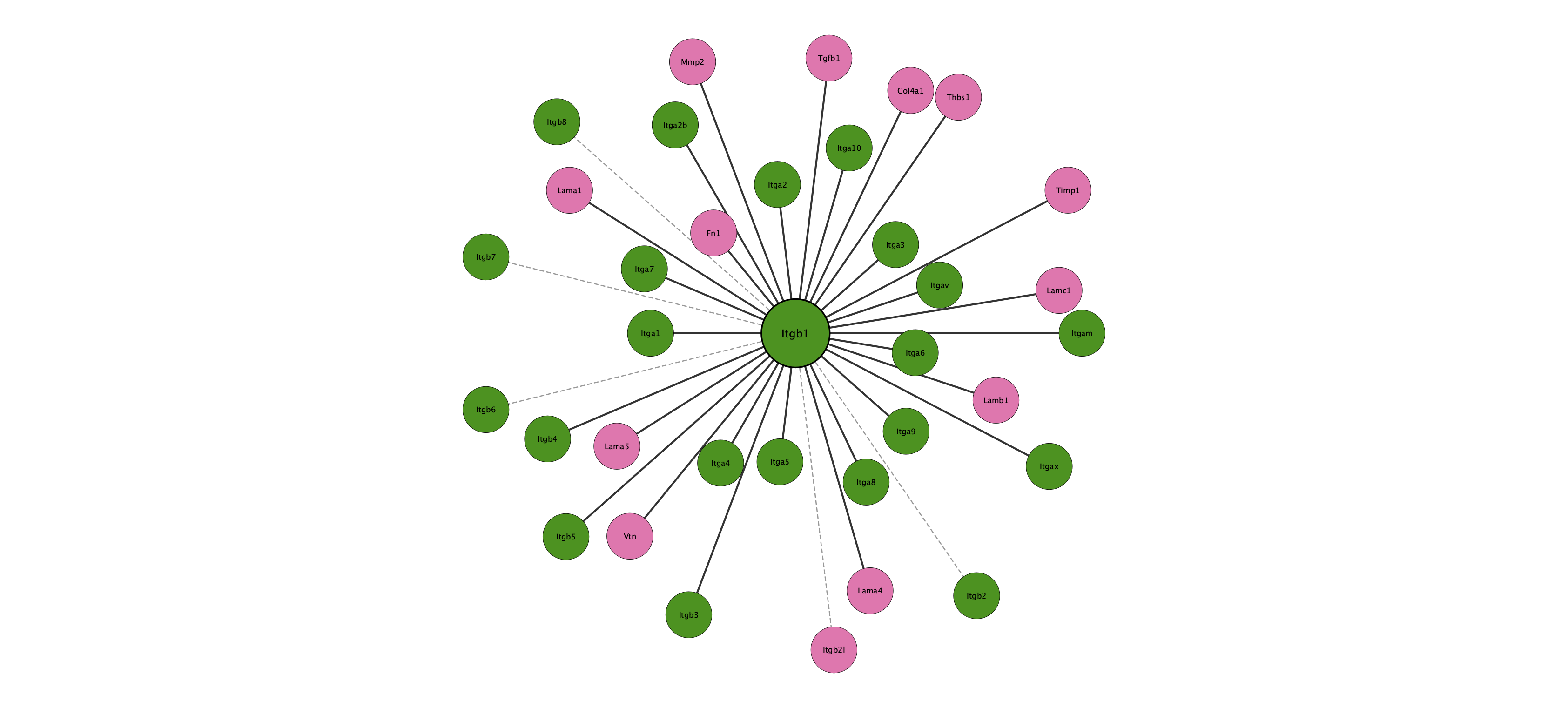 Itgb1 protein interaction network