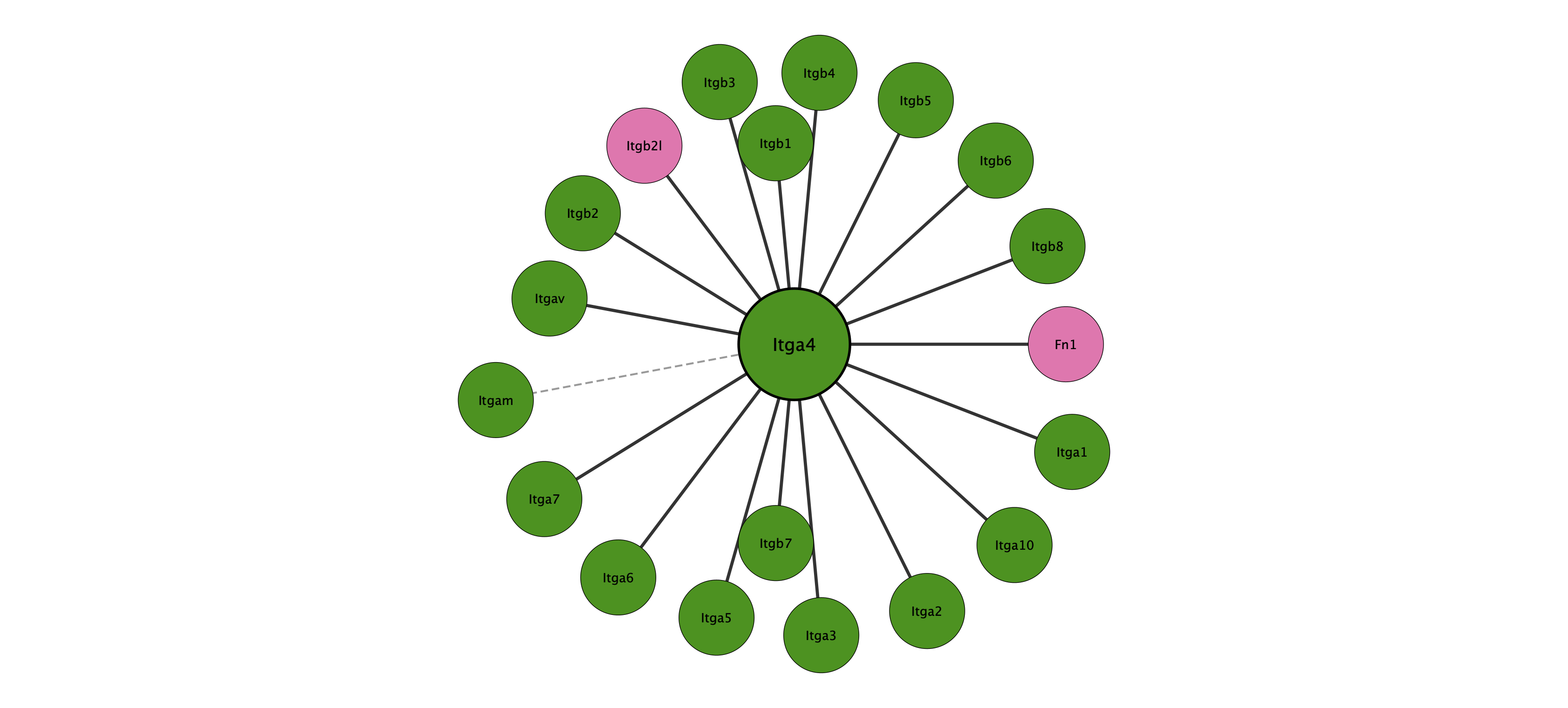 Itga4 protein interaction network