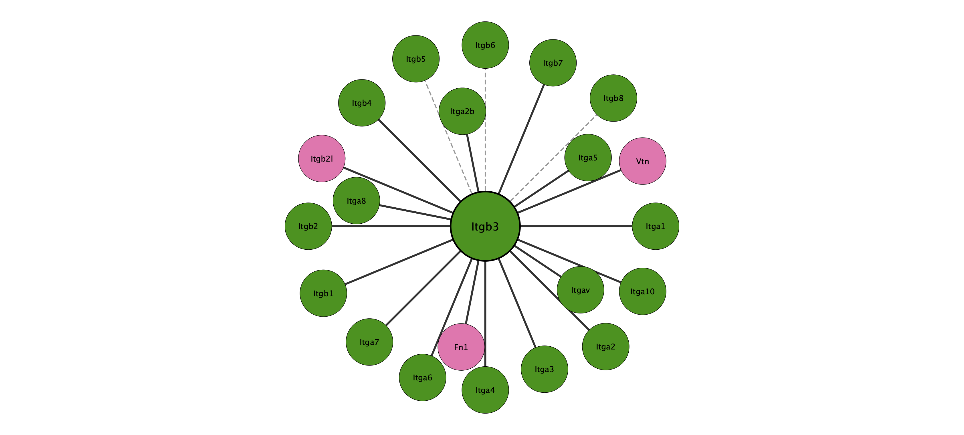 Itgb3 protein interaction network