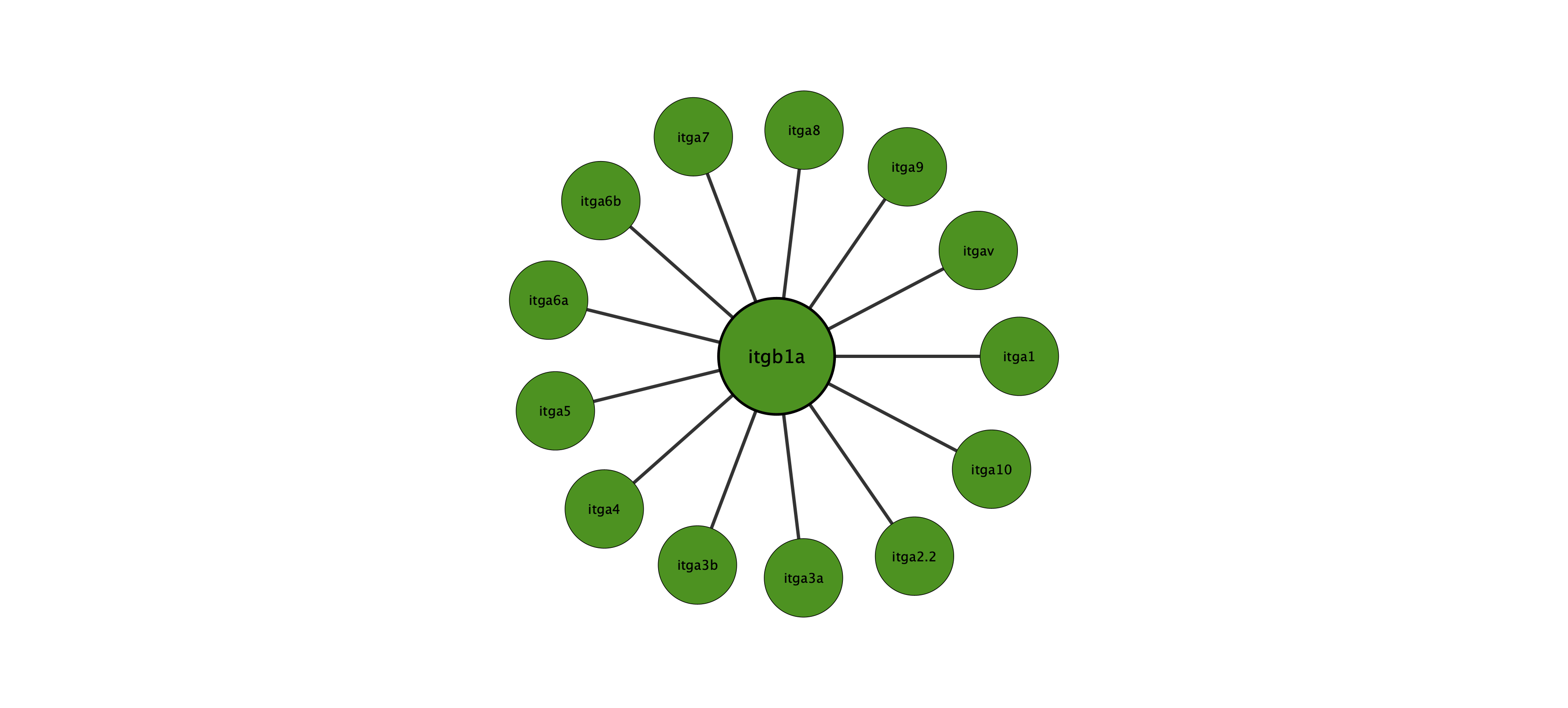 itgb1a protein interaction network