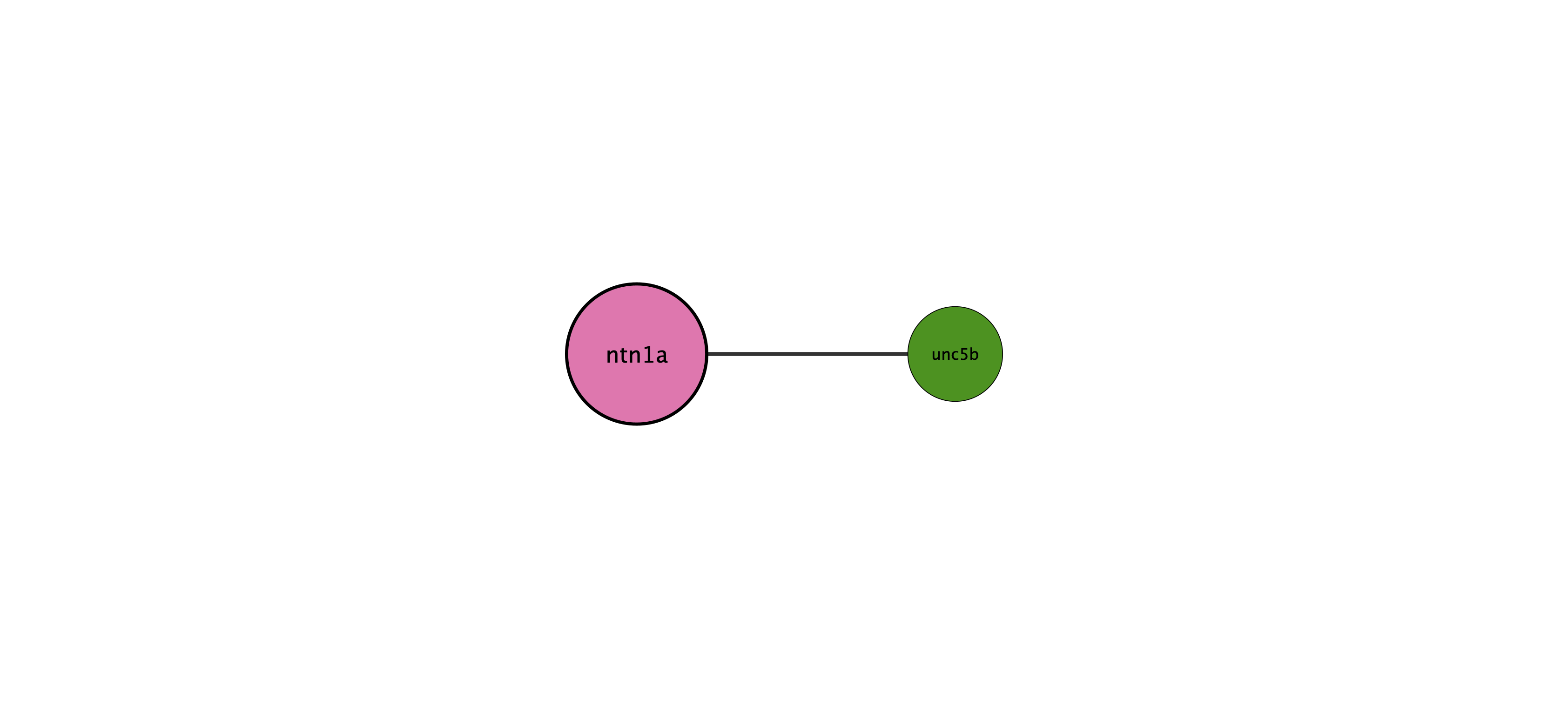 ntn1a protein interaction network