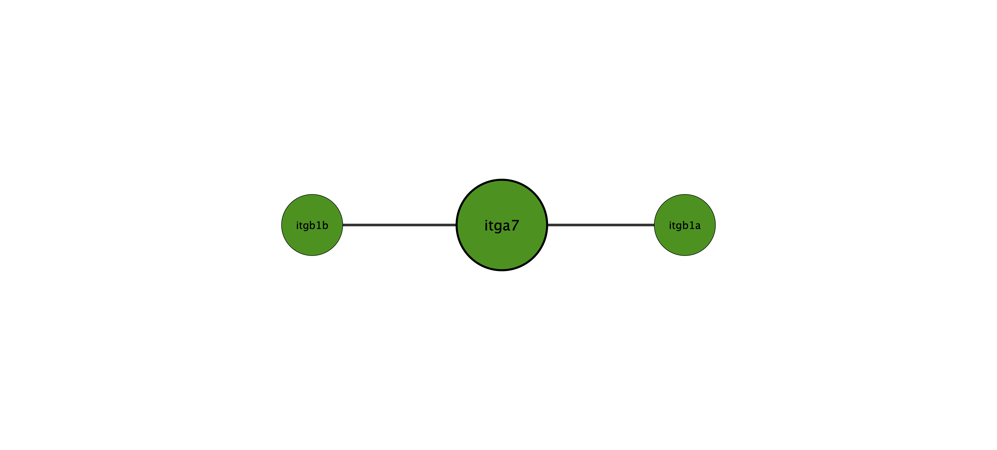 itga7 protein interaction network
