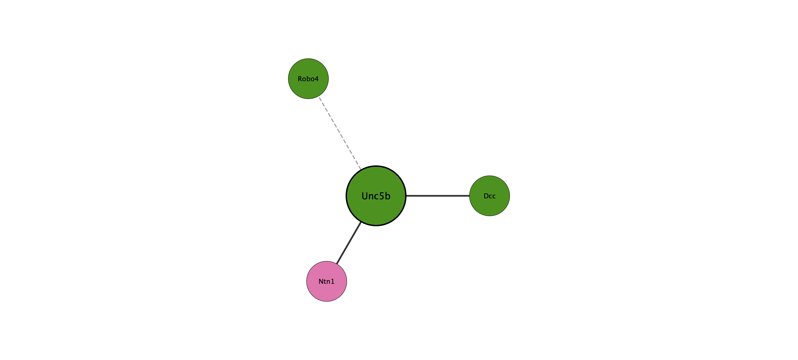 Unc5b protein interaction network