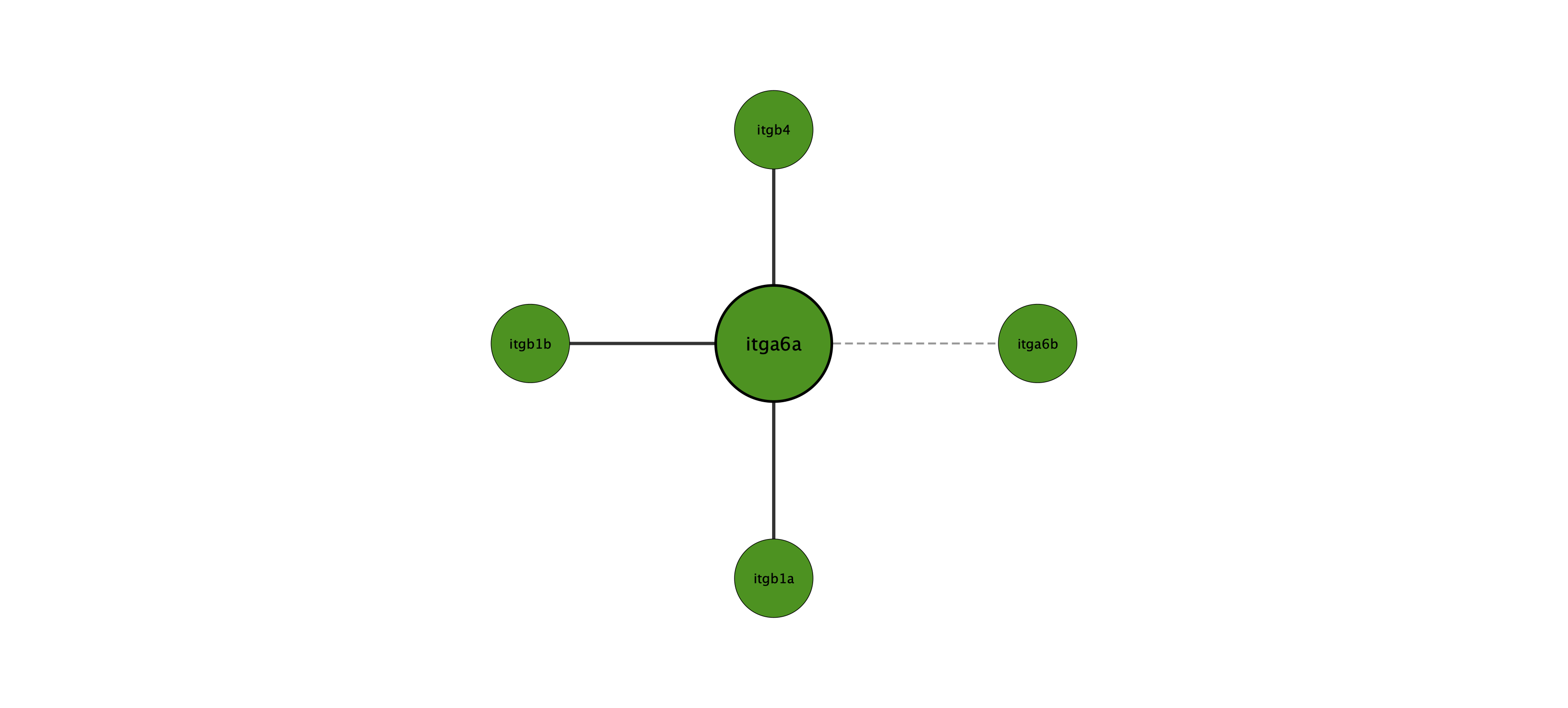 itga6a protein interaction network