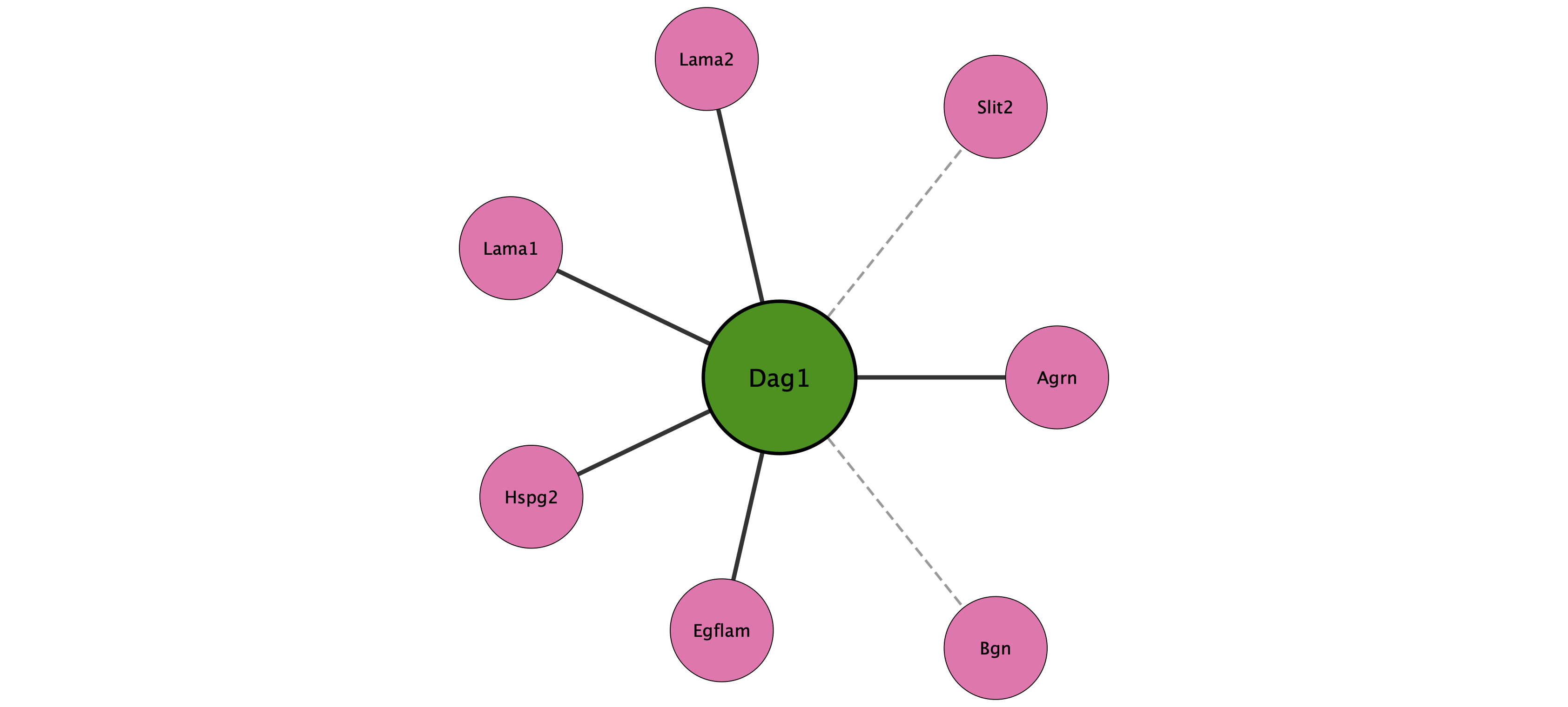 Dag1 protein interaction network