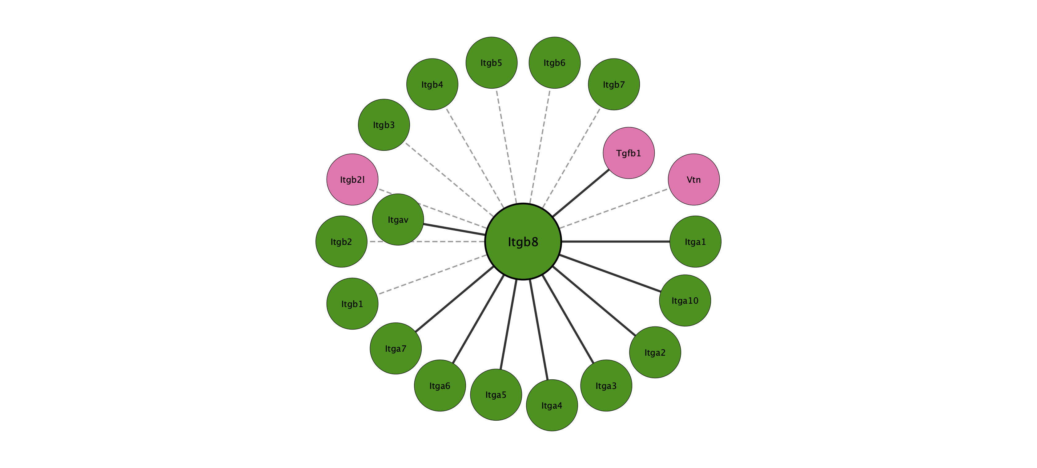 Itgb8 protein interaction network
