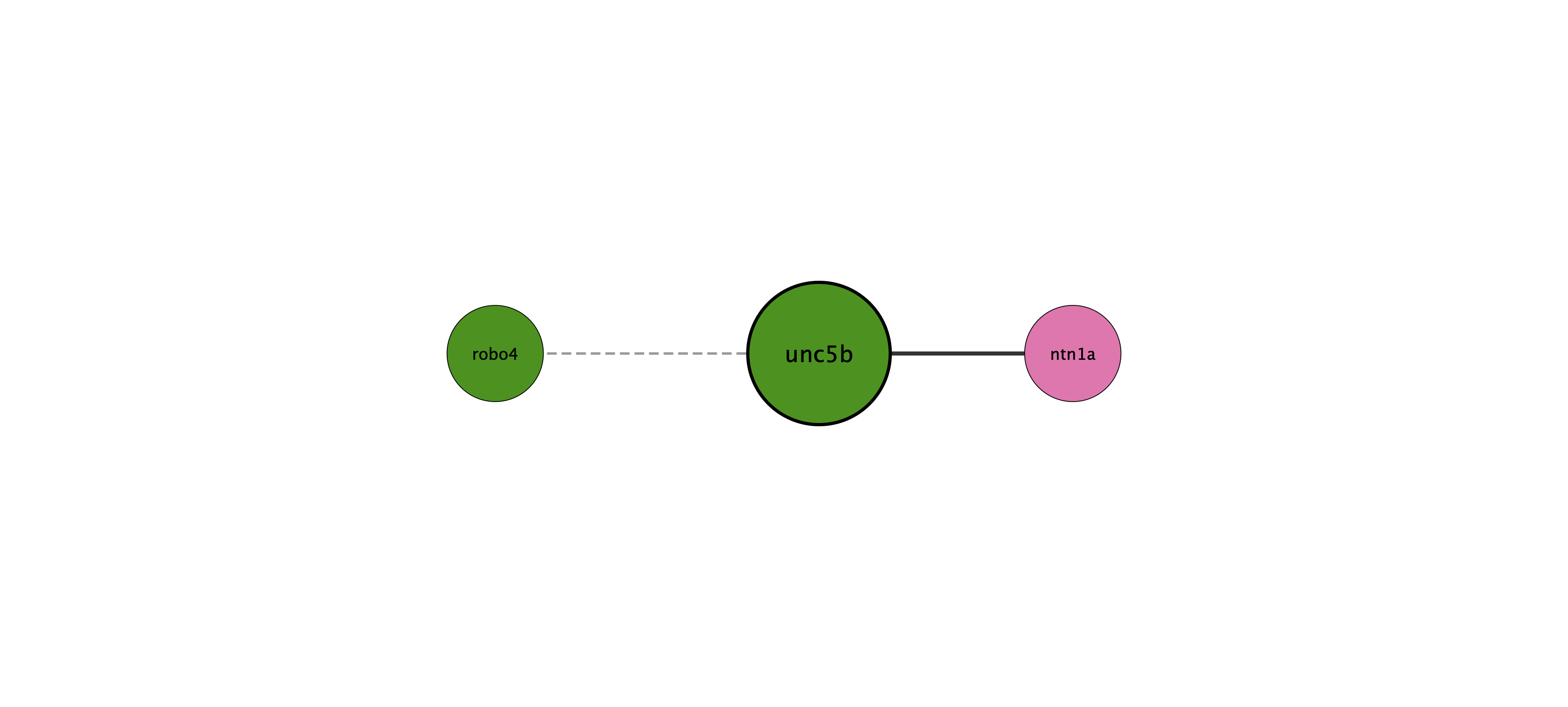 unc5b protein interaction network