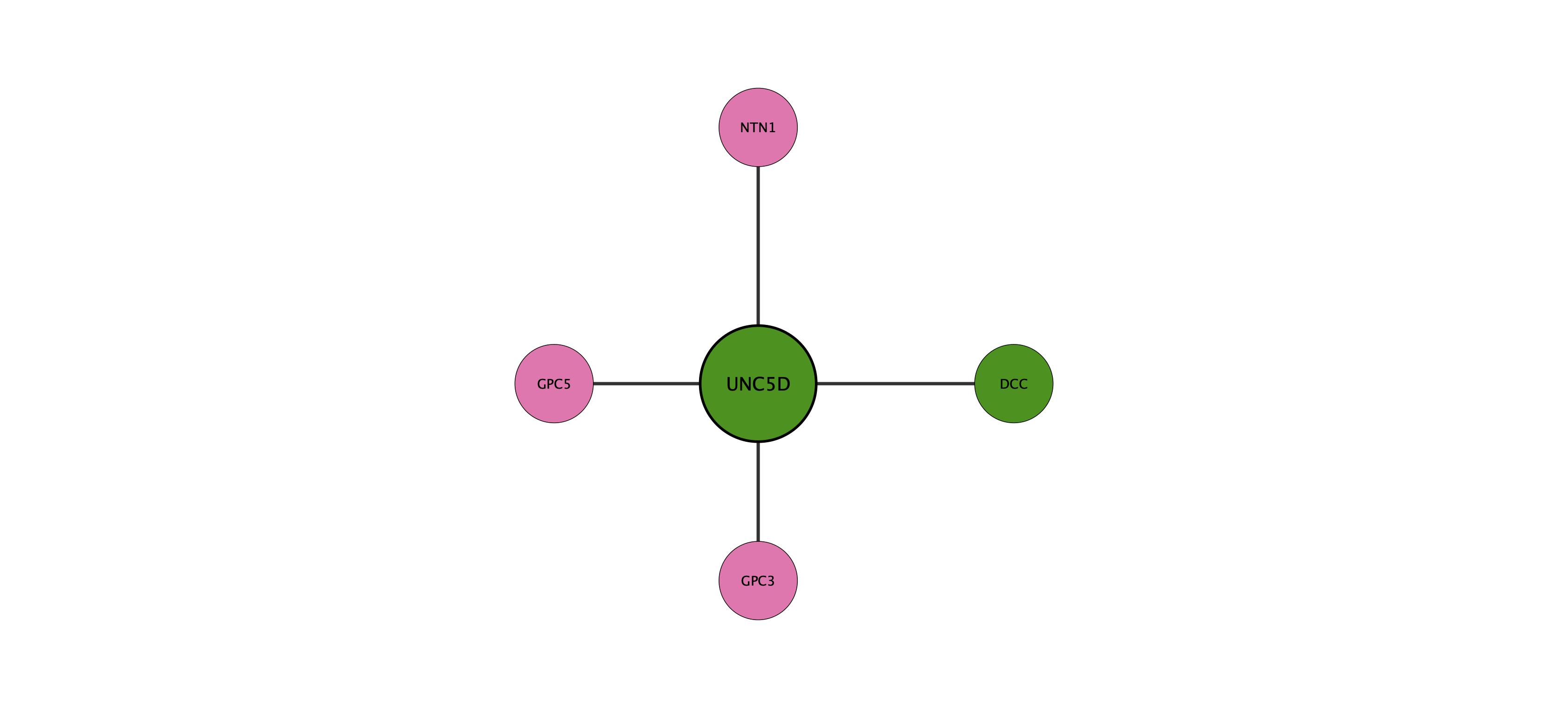UNC5D protein interaction network
