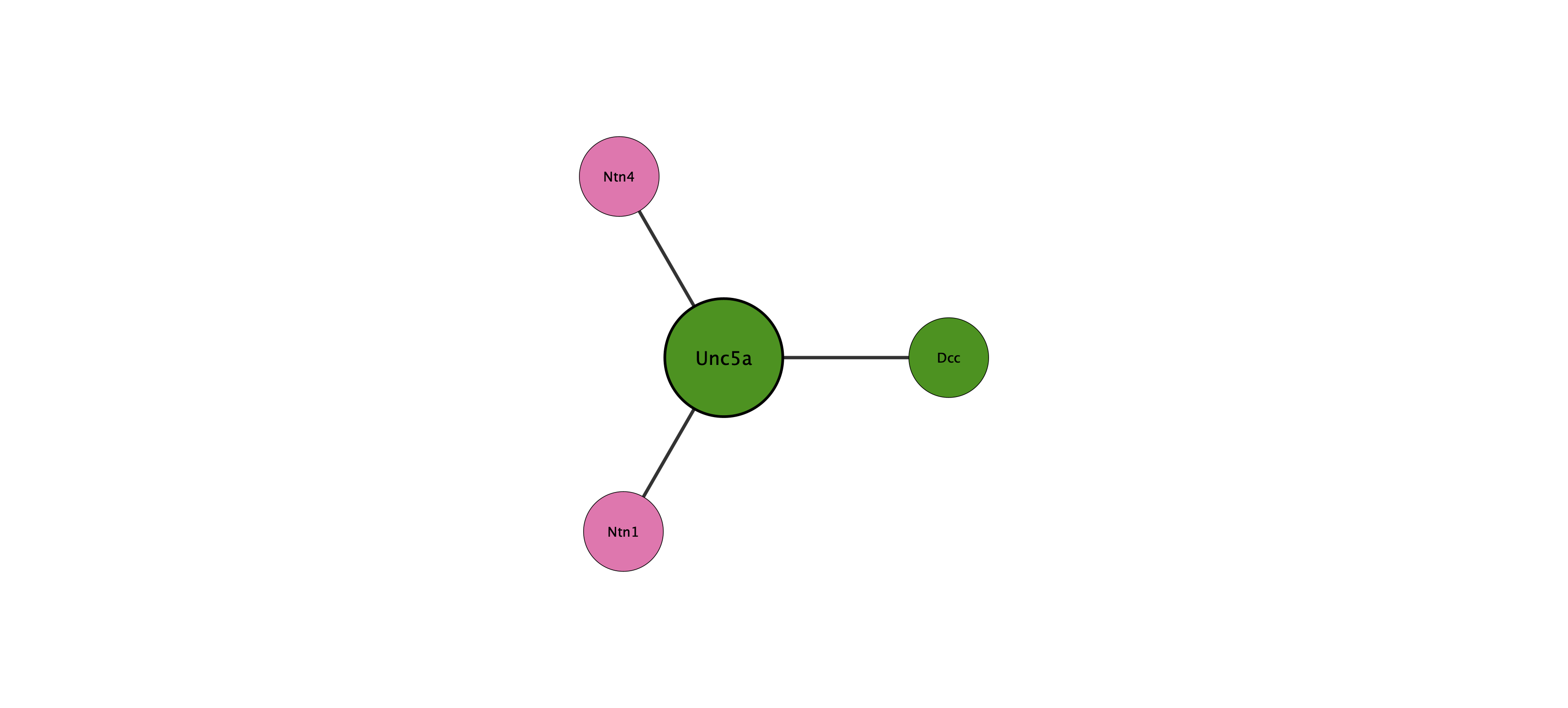 Unc5a protein interaction network