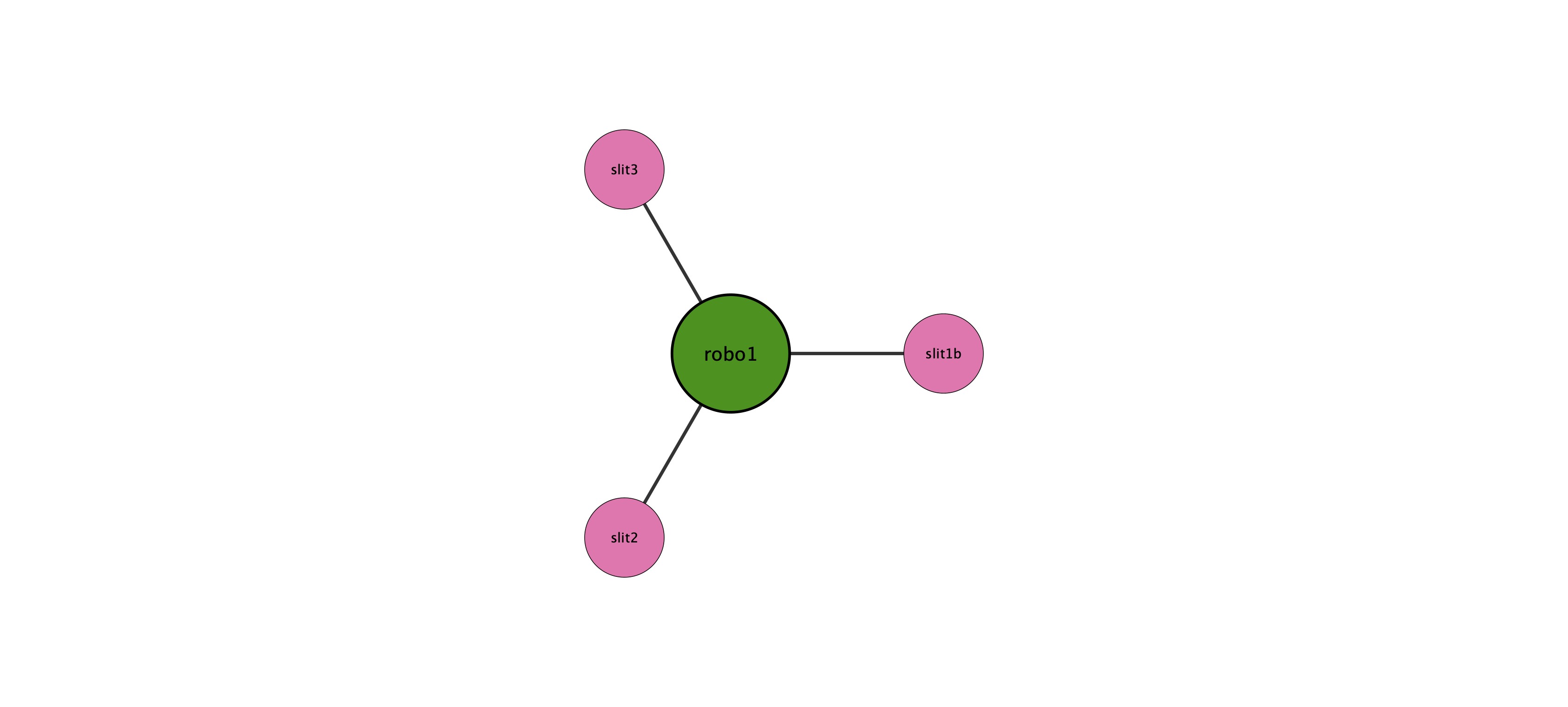 robo1 protein interaction network