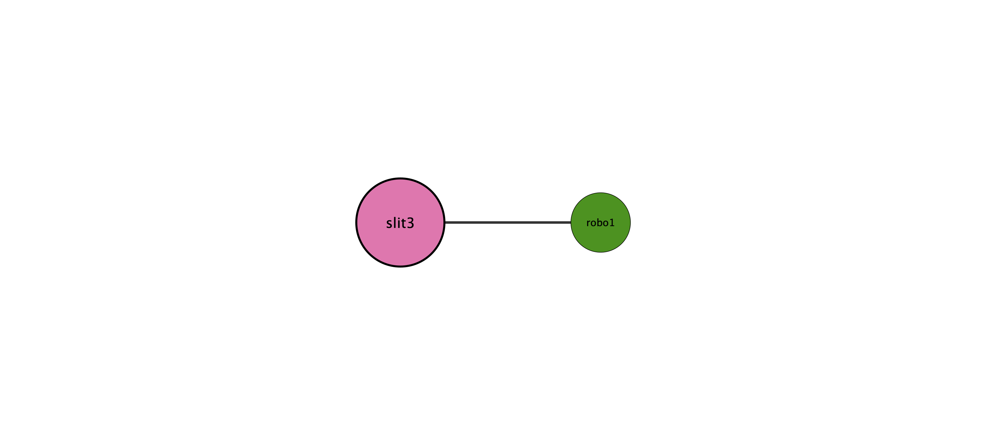 slit3 protein interaction network