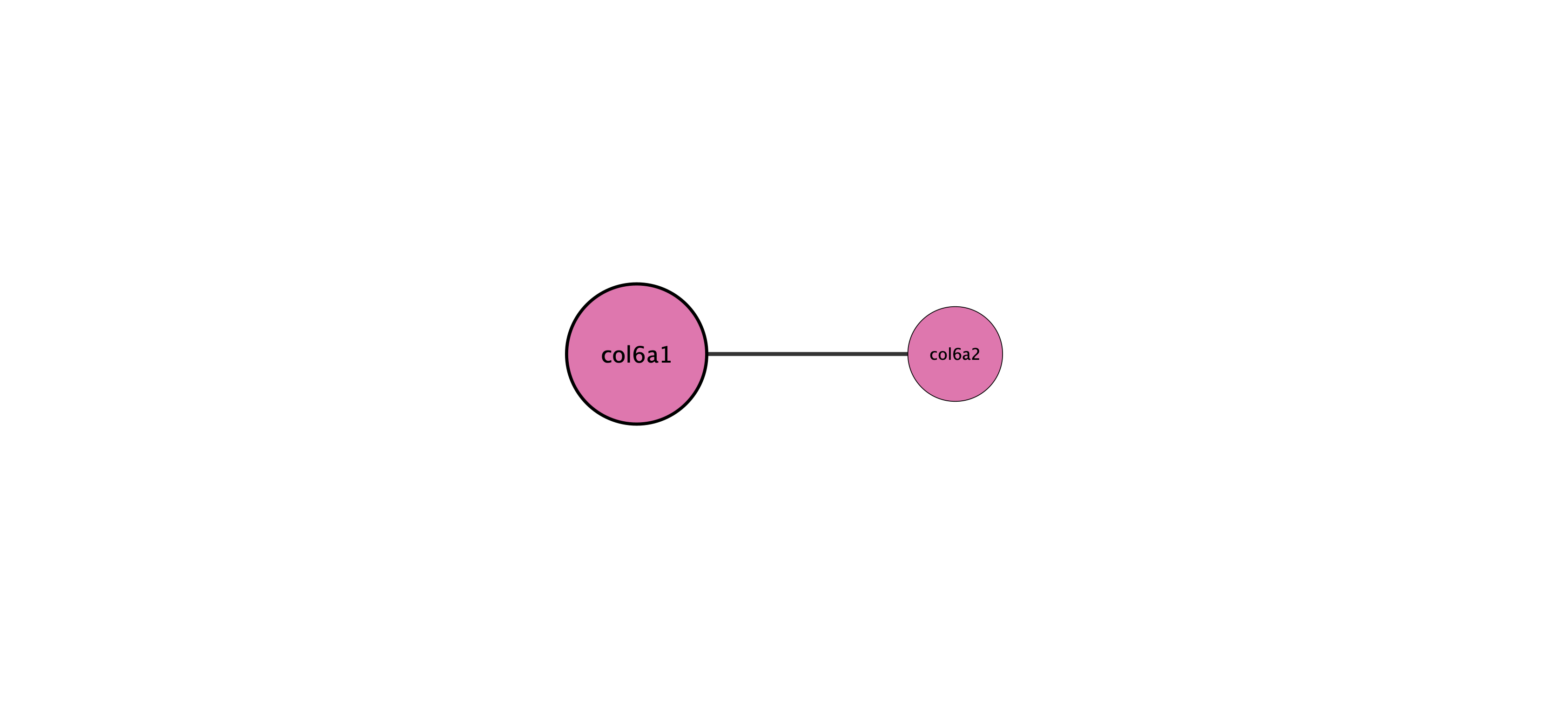 col6a1 protein interaction network