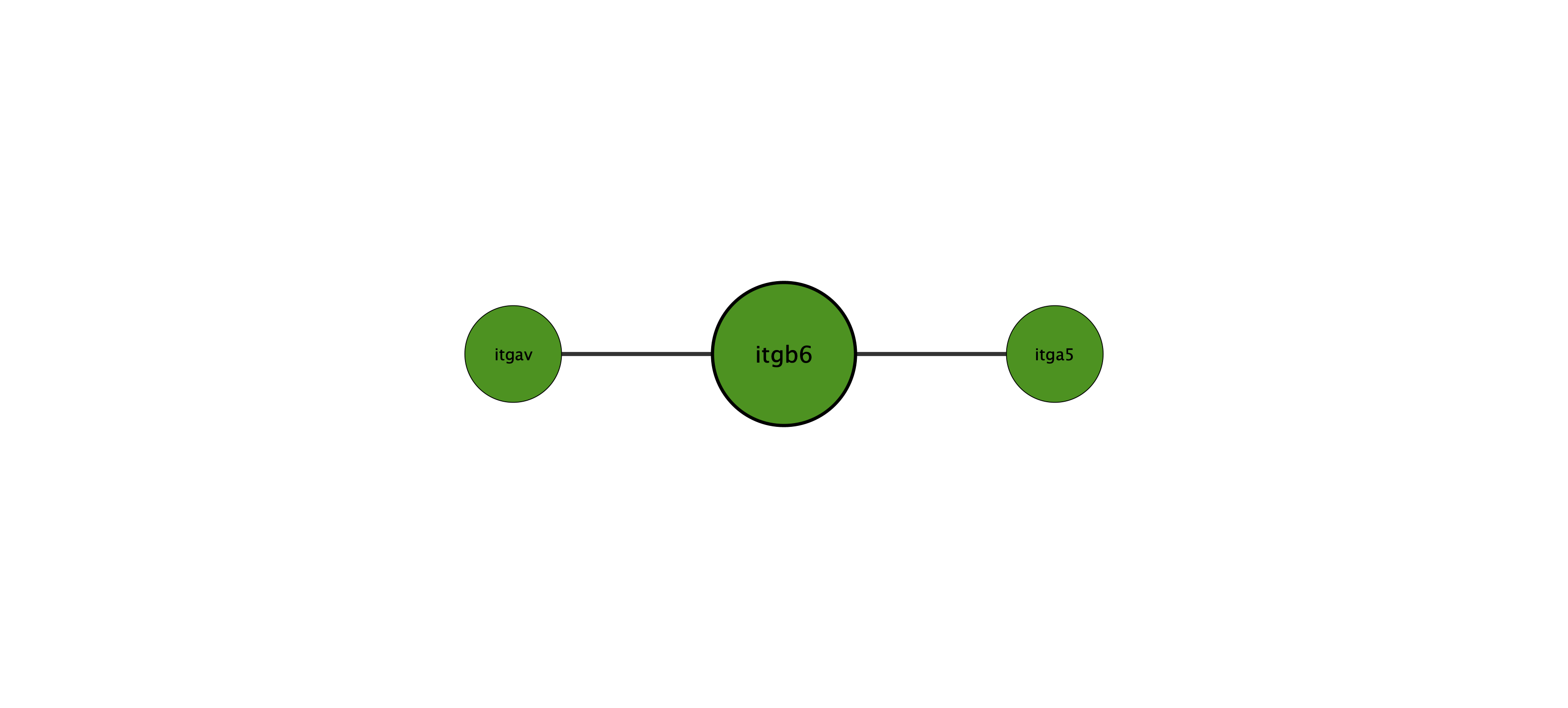 itgb6 protein interaction network