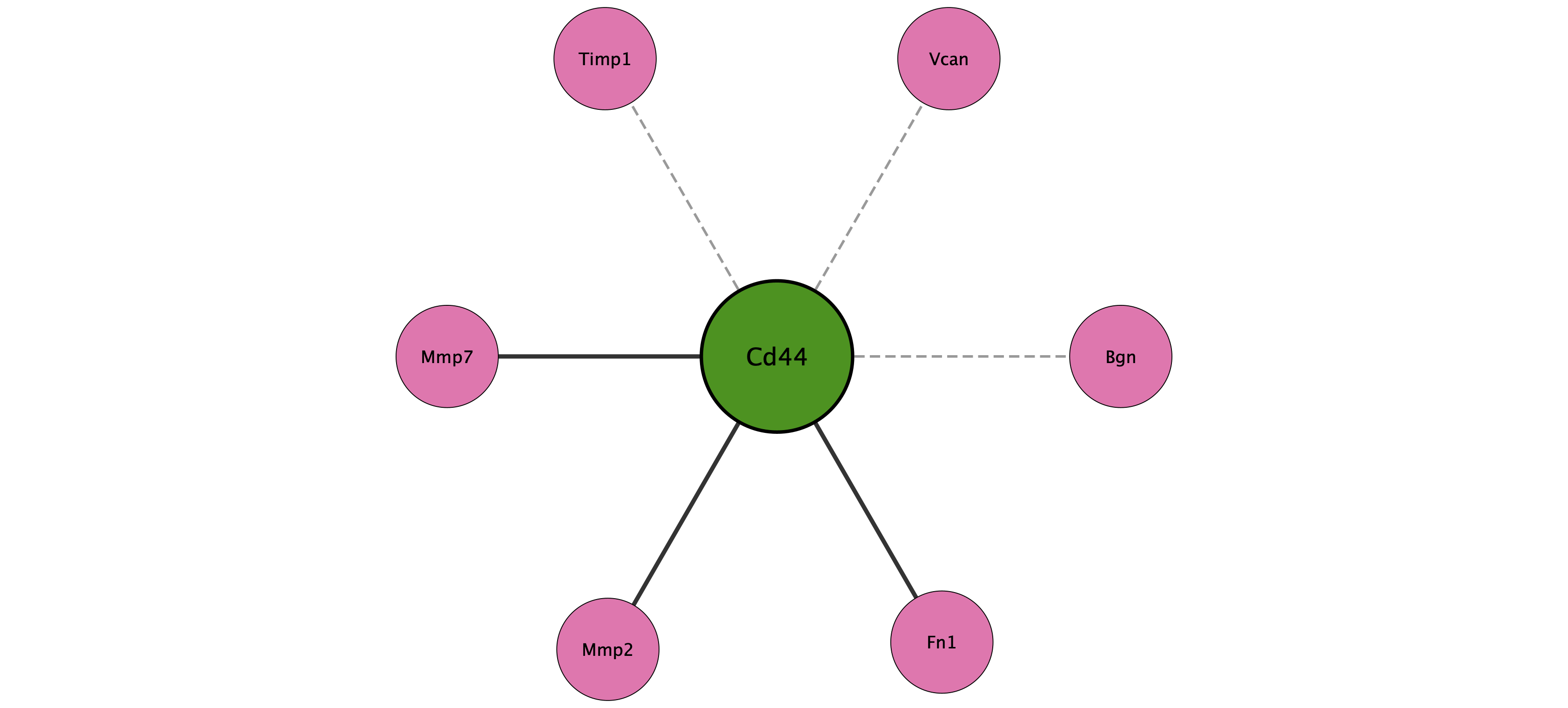Cd44 protein interaction network