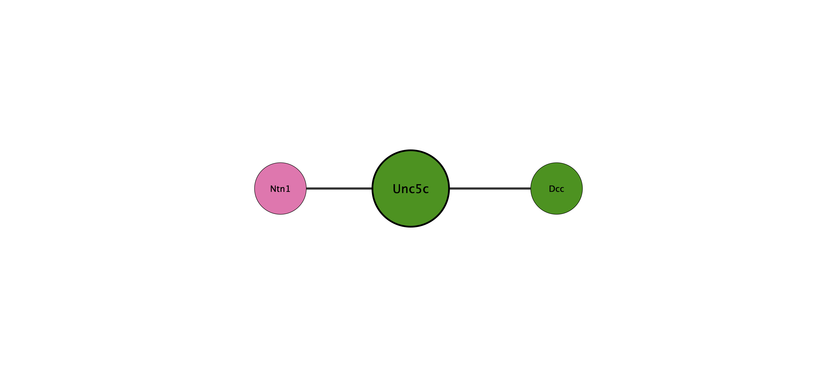 Unc5c protein interaction network