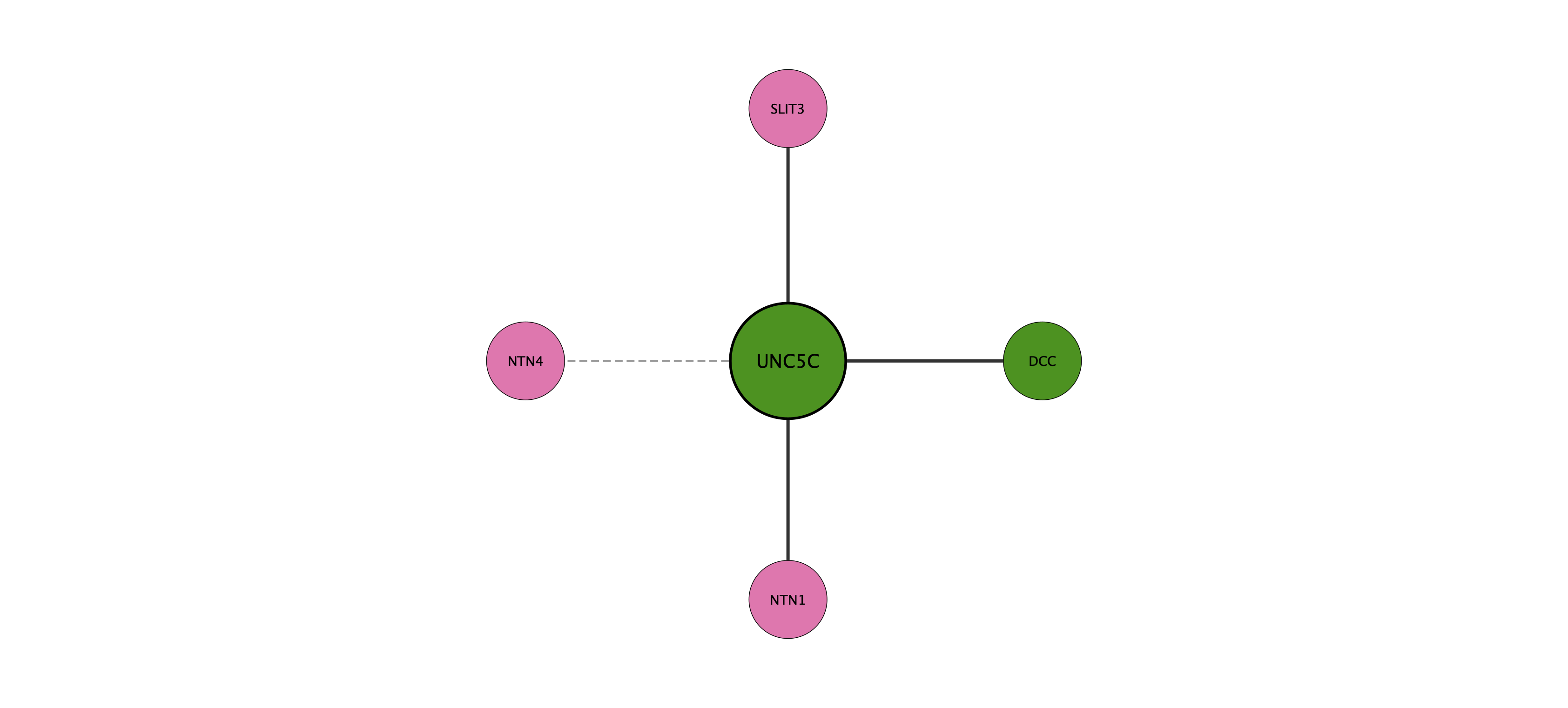 UNC5C protein interaction network