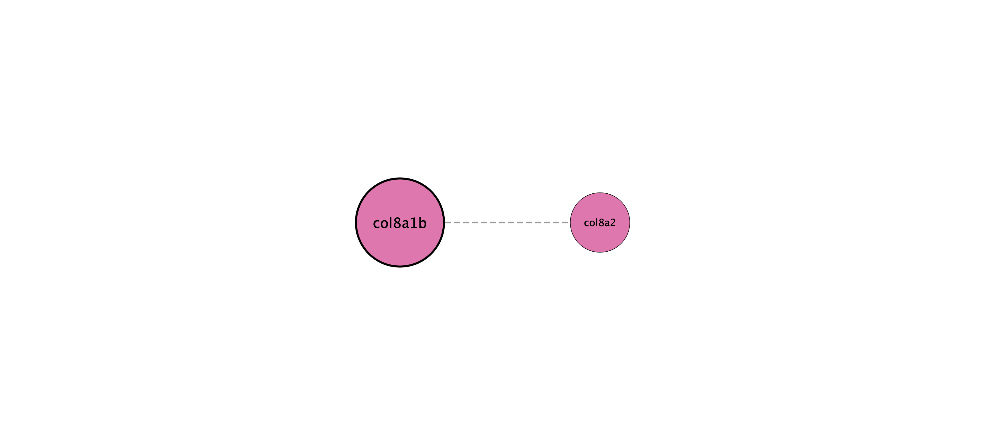 col8a1b protein interaction network