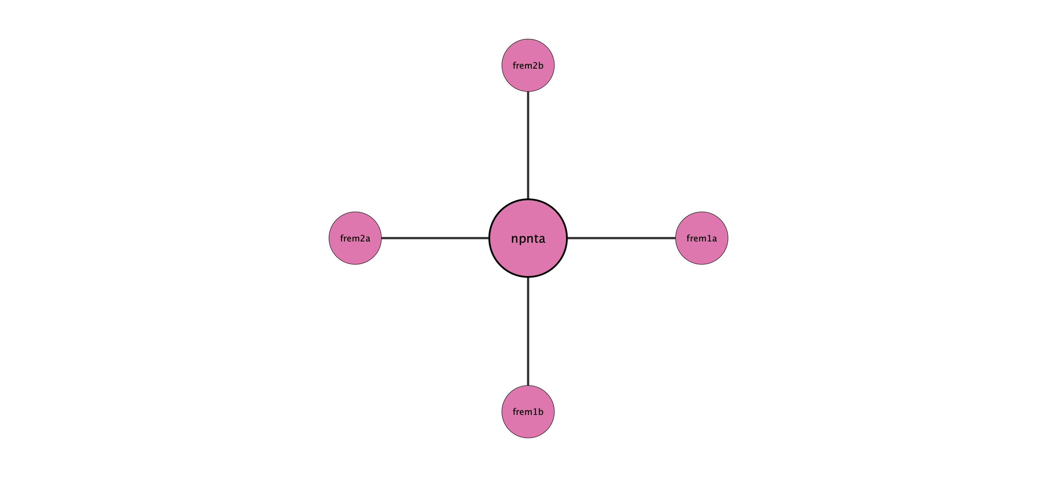npnta protein interaction network