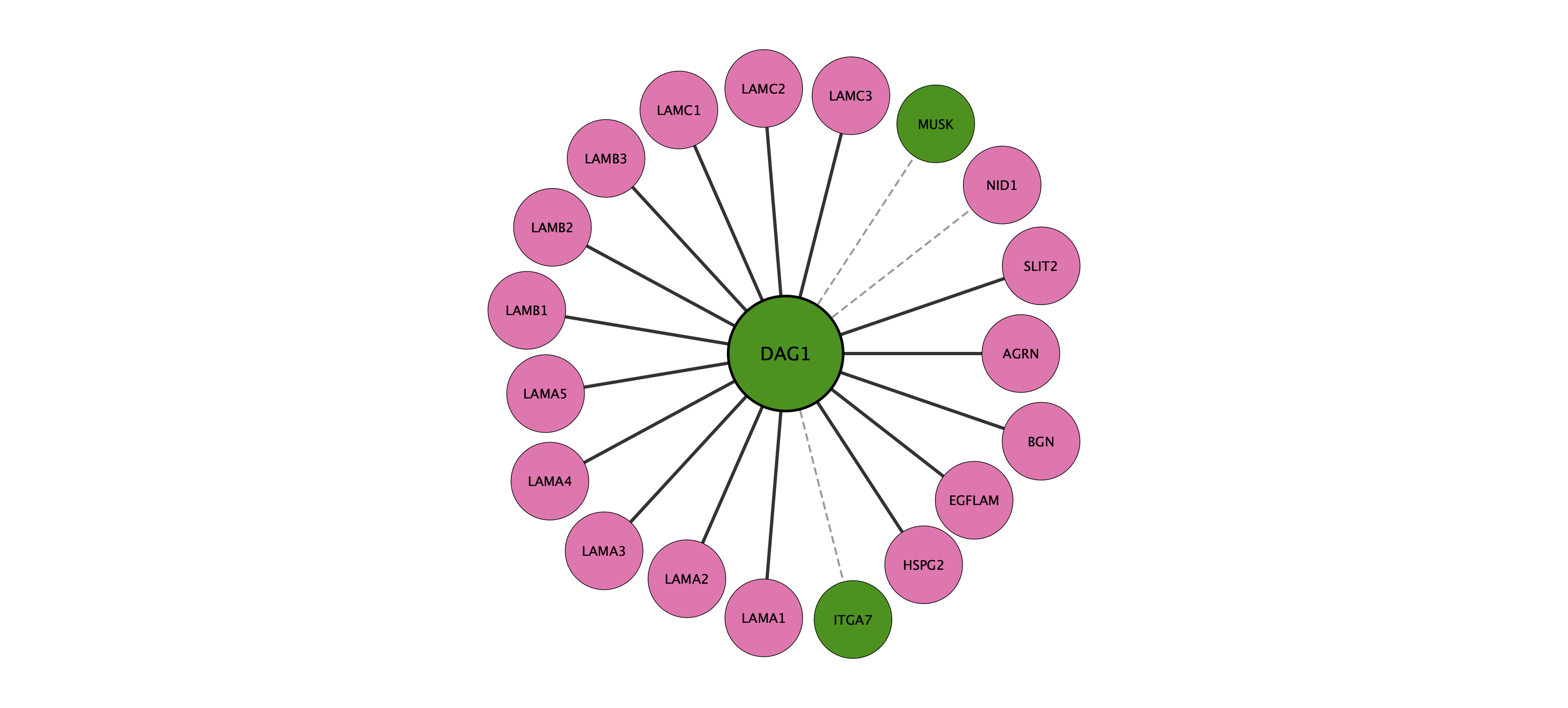 DAG1 protein interaction network