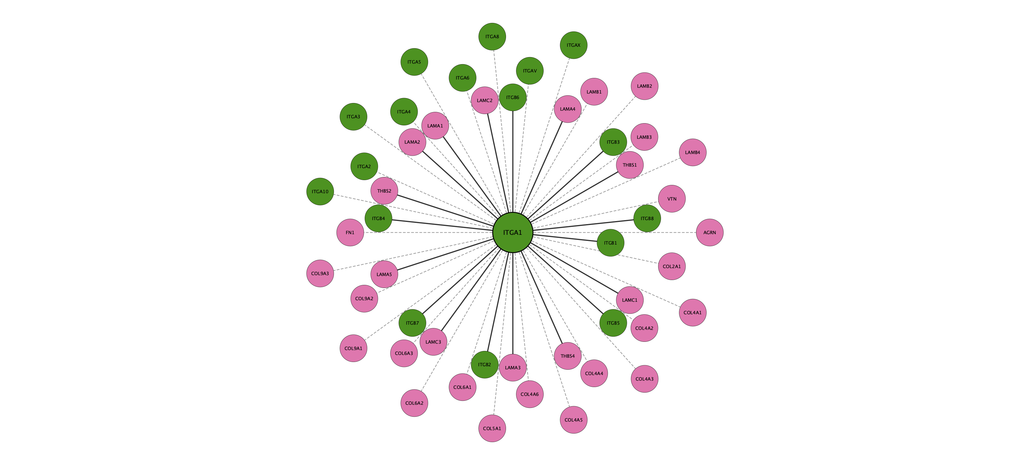 ITGA1 protein interaction network