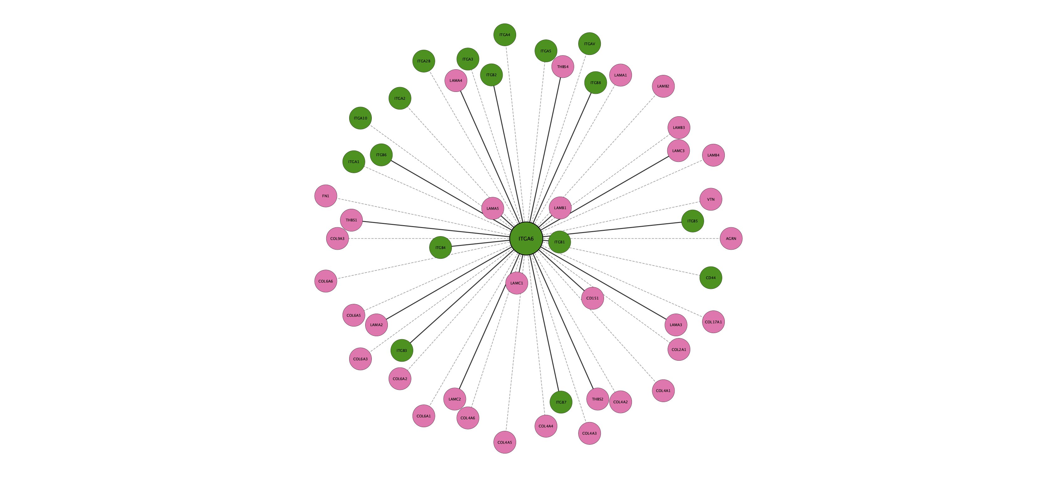 ITGA6 protein interaction network