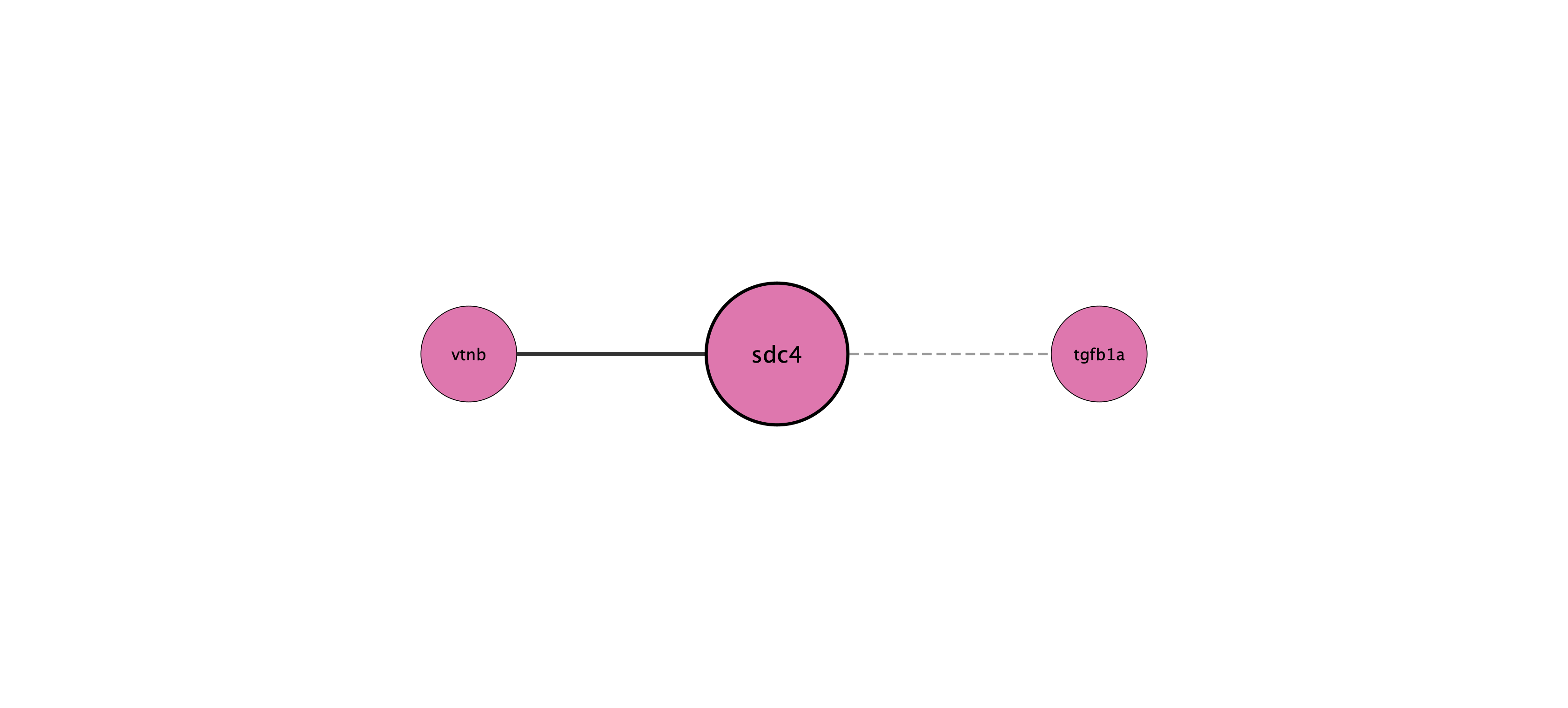sdc4 protein interaction network