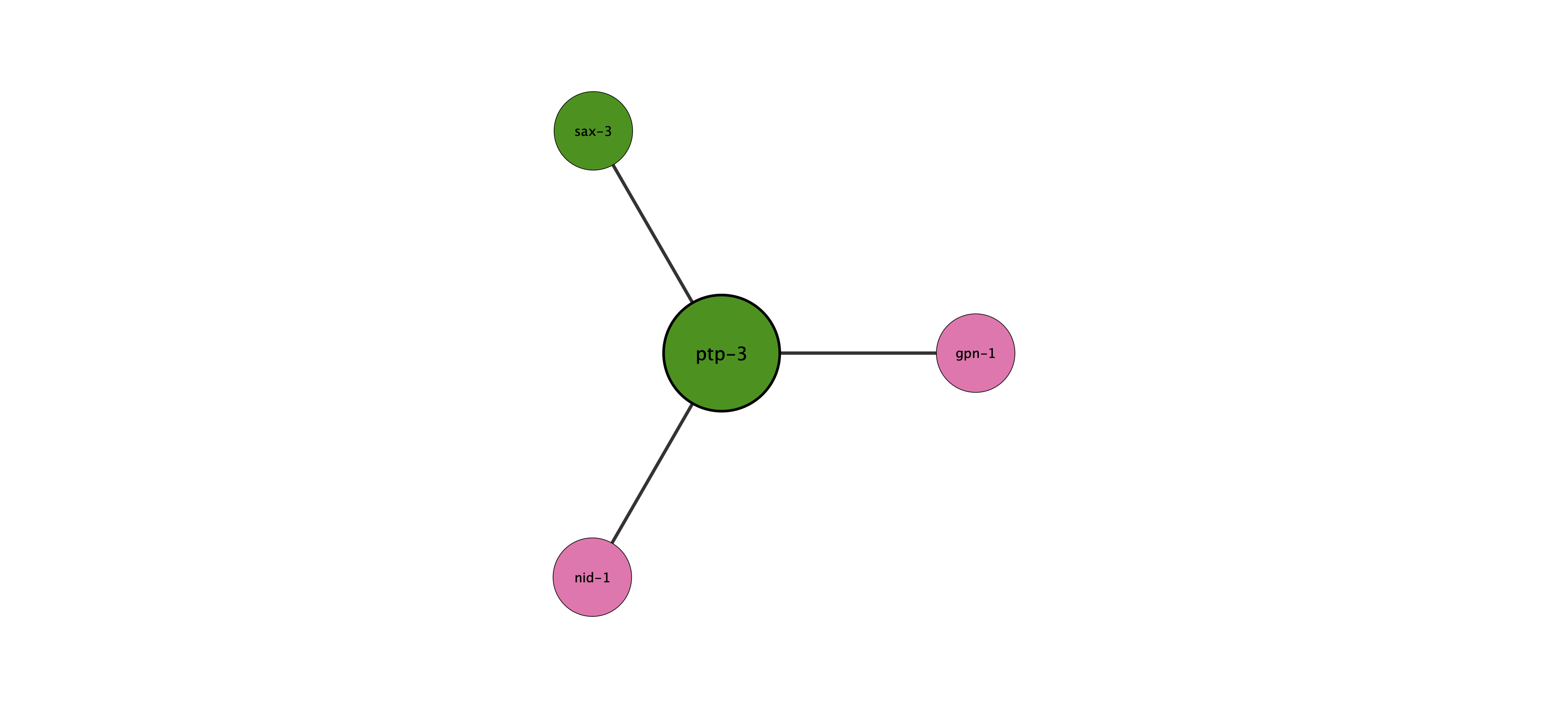 ptp-3 protein interaction network