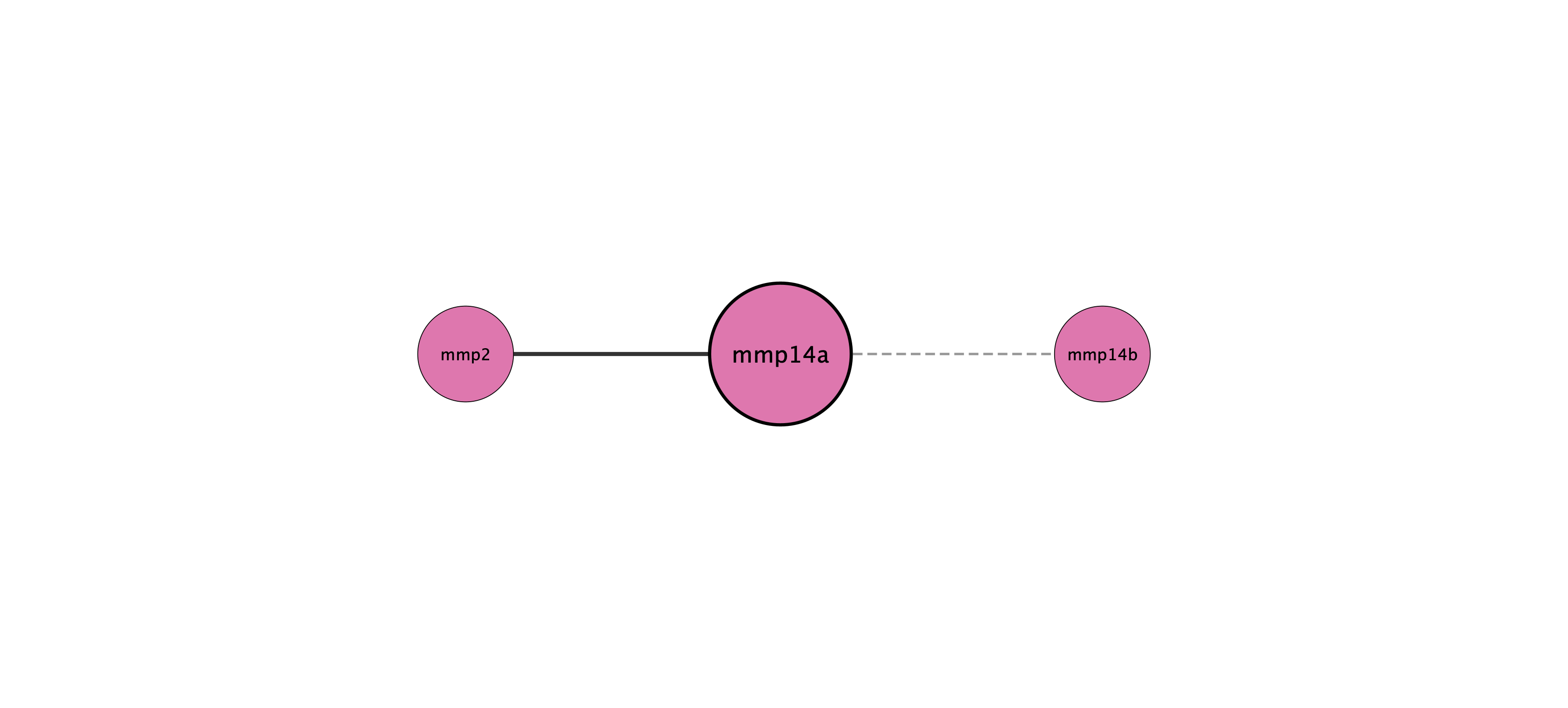 mmp14a protein interaction network