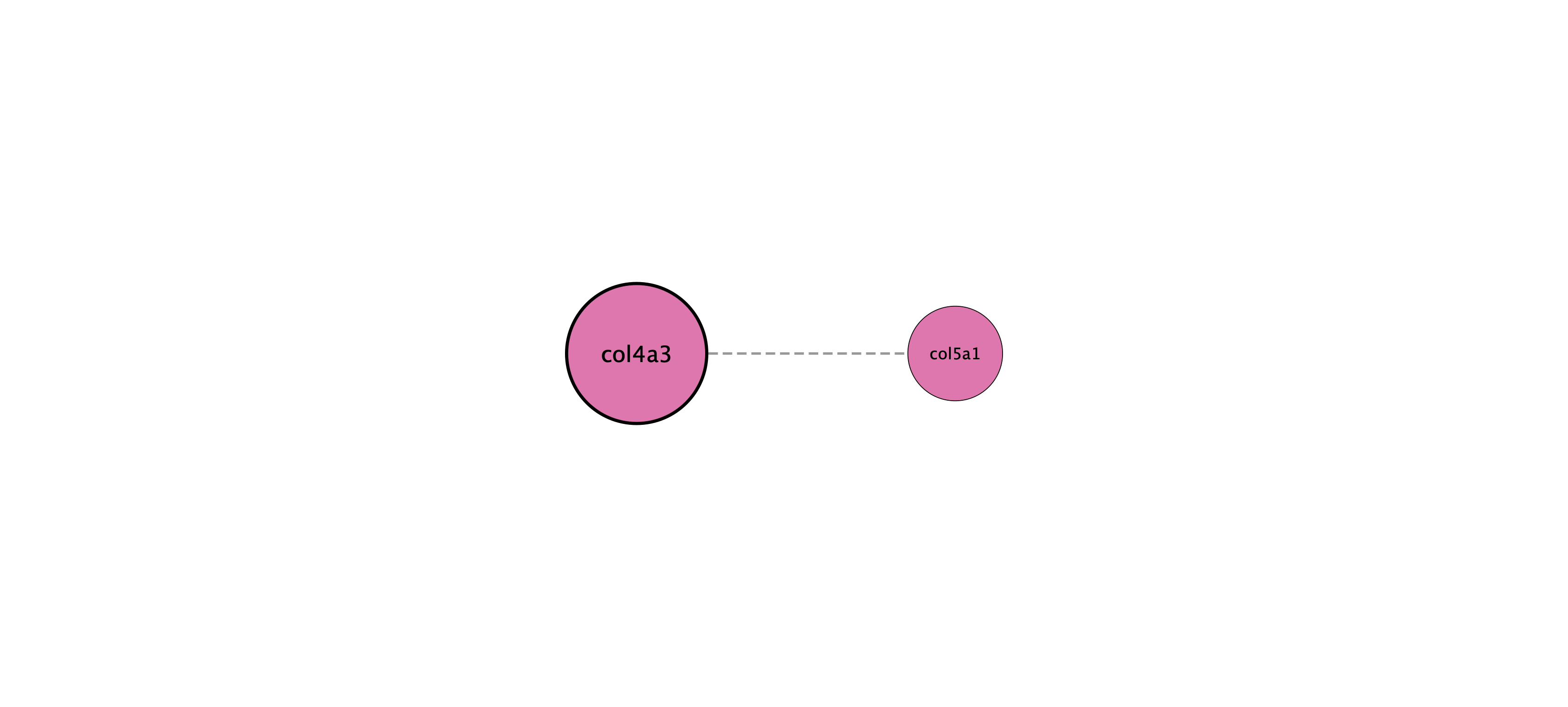 col4a3 protein interaction network