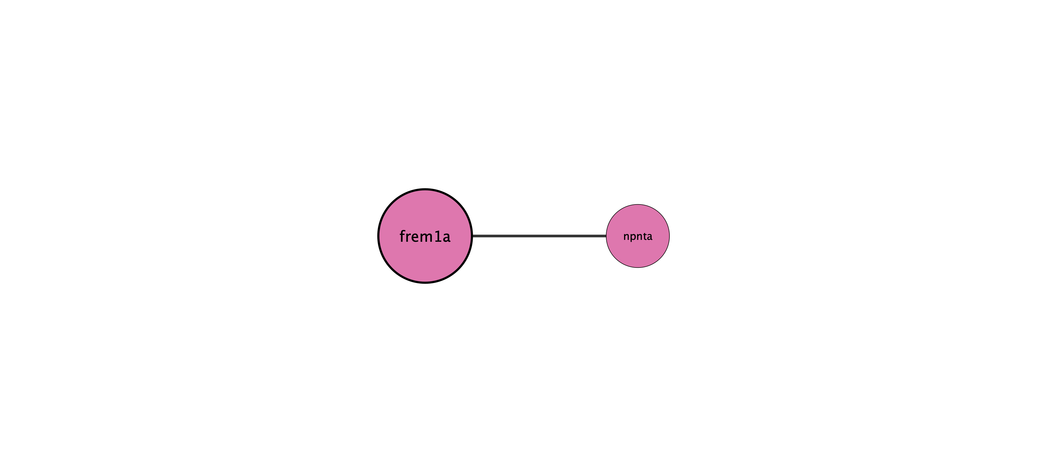 frem1a protein interaction network