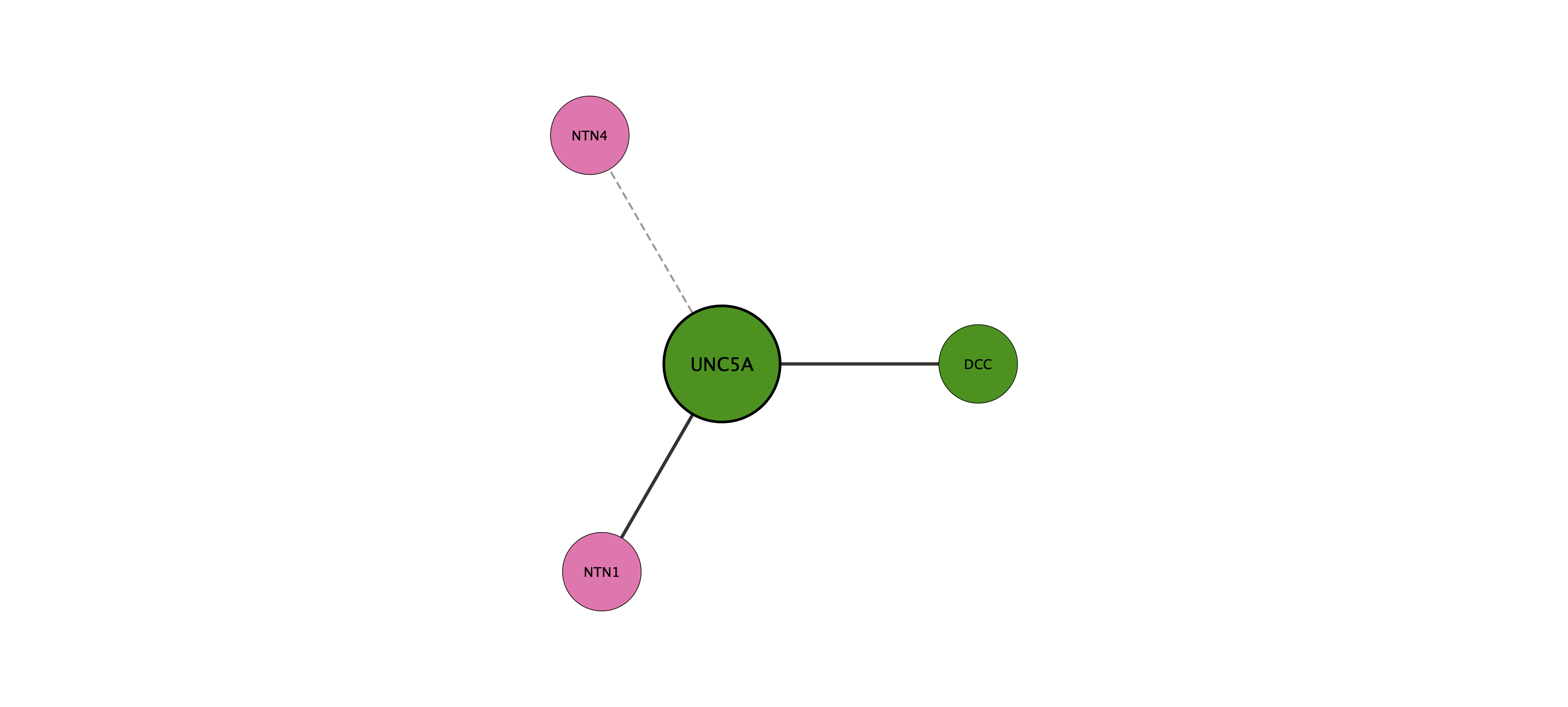 UNC5A protein interaction network