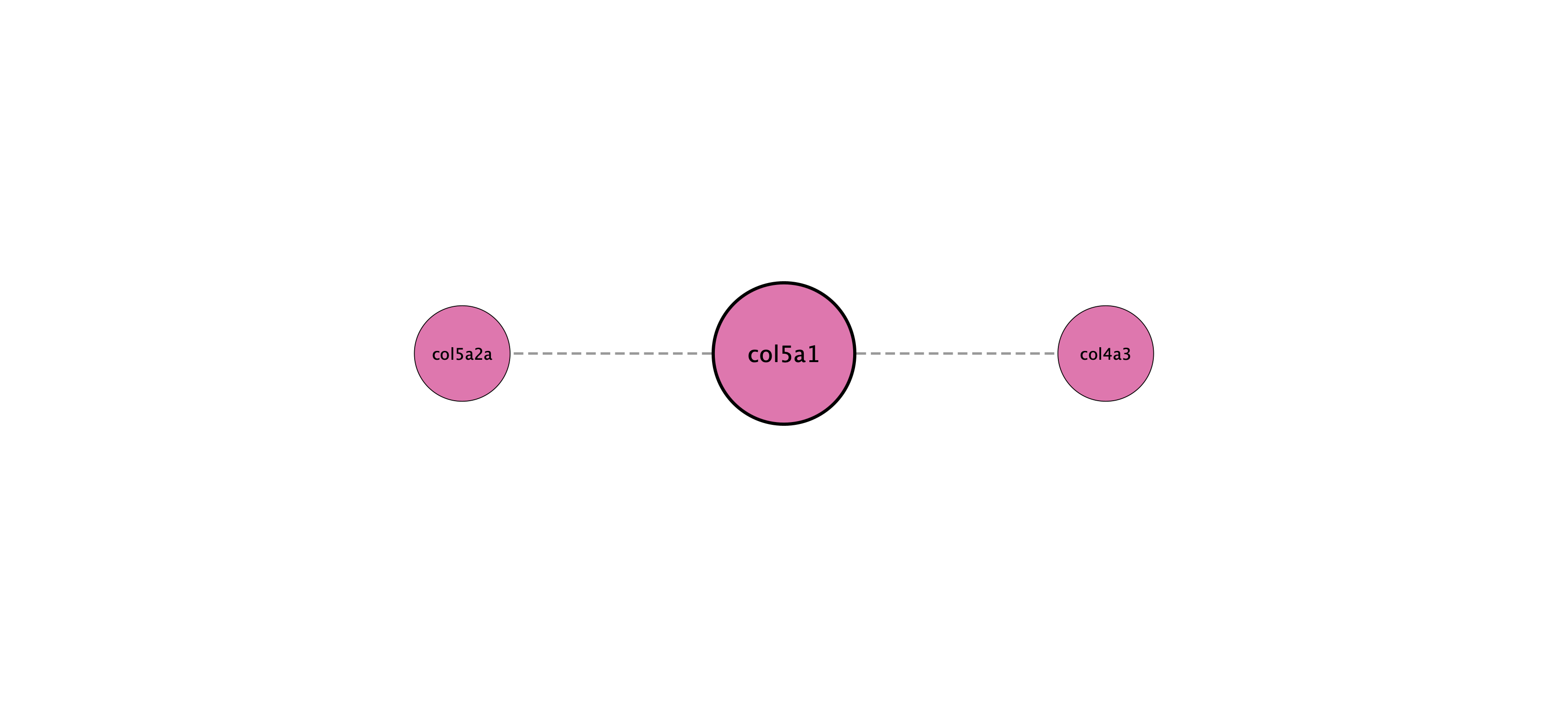 col5a1 protein interaction network