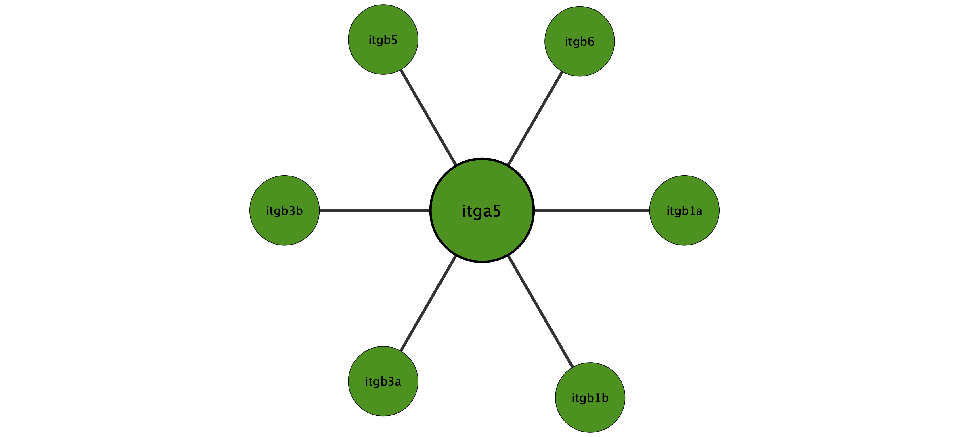 itga5 protein interaction network