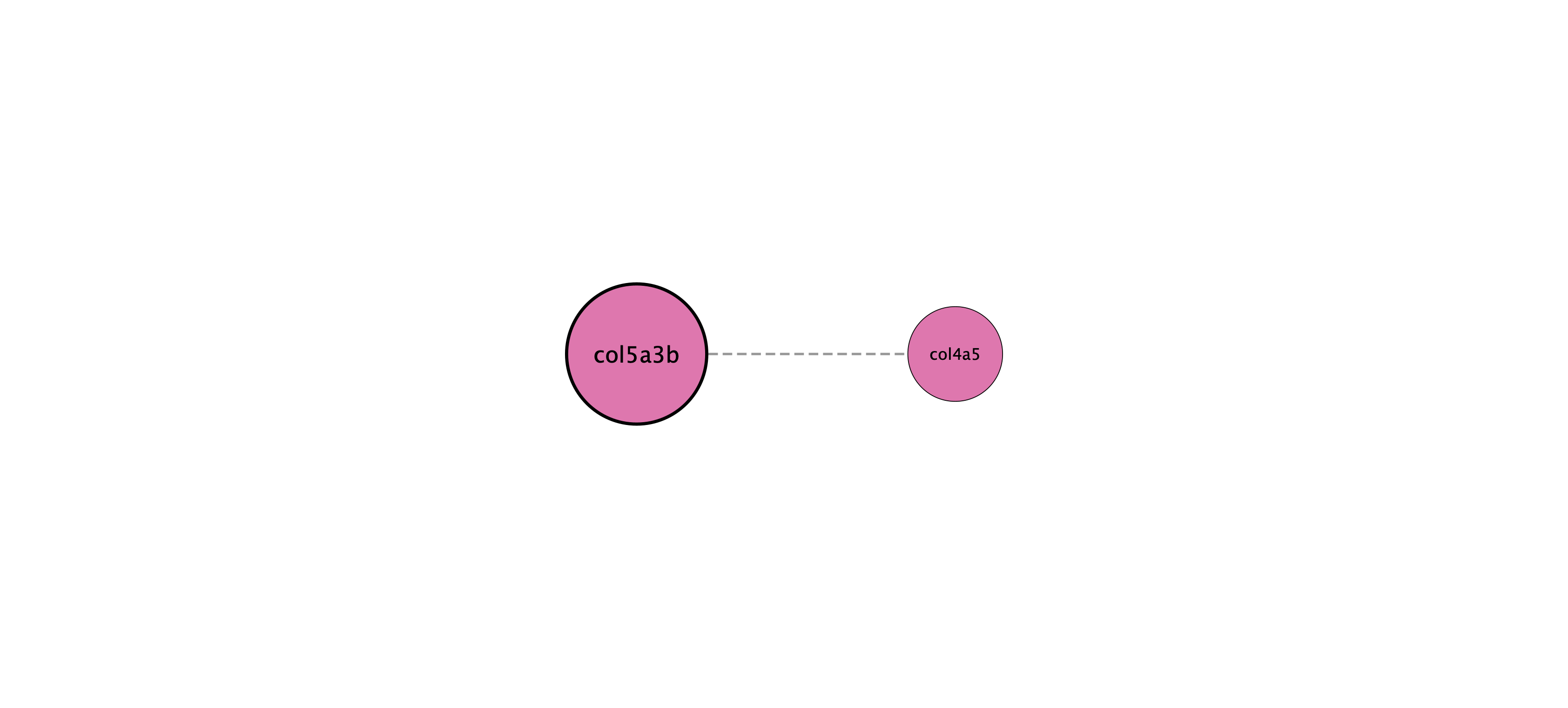 col5a3b protein interaction network