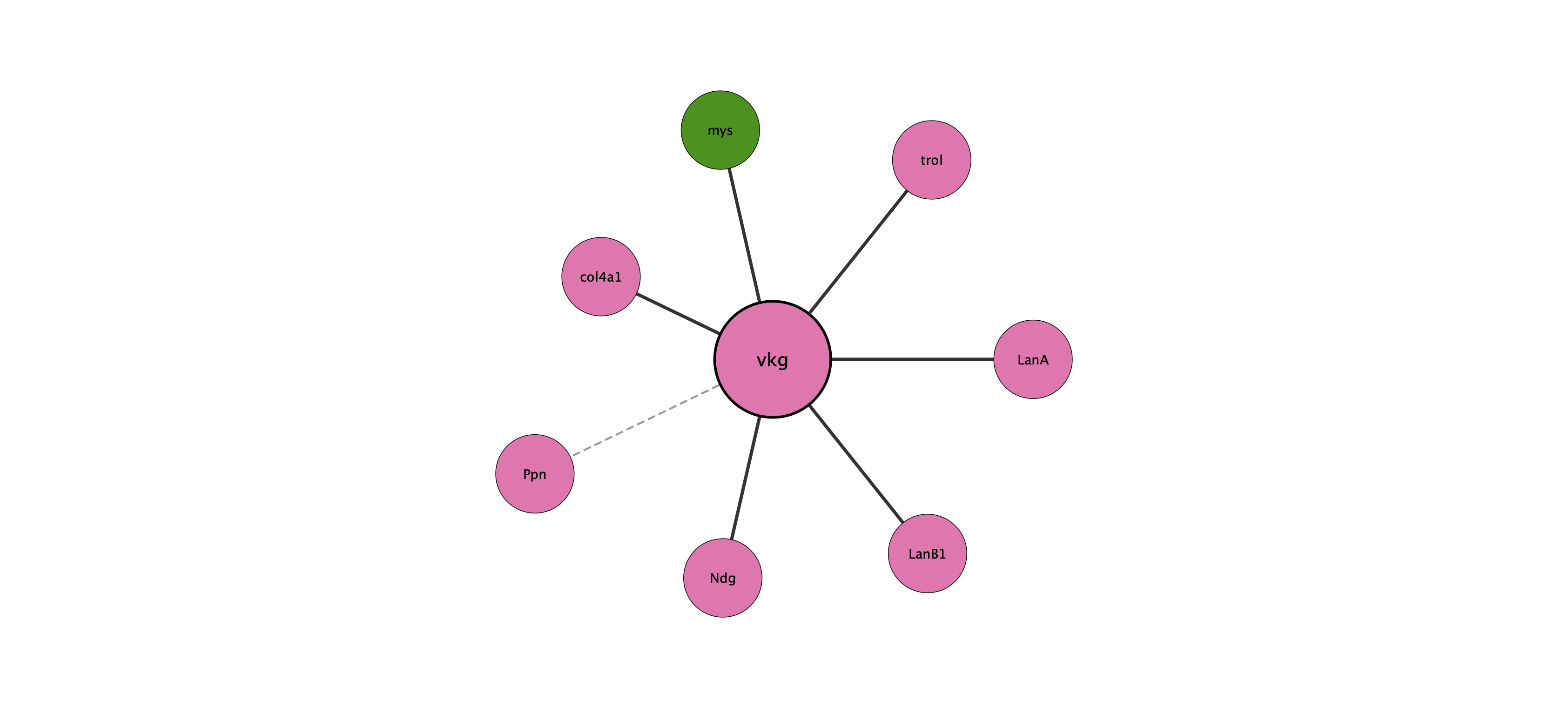 vkg protein interaction network