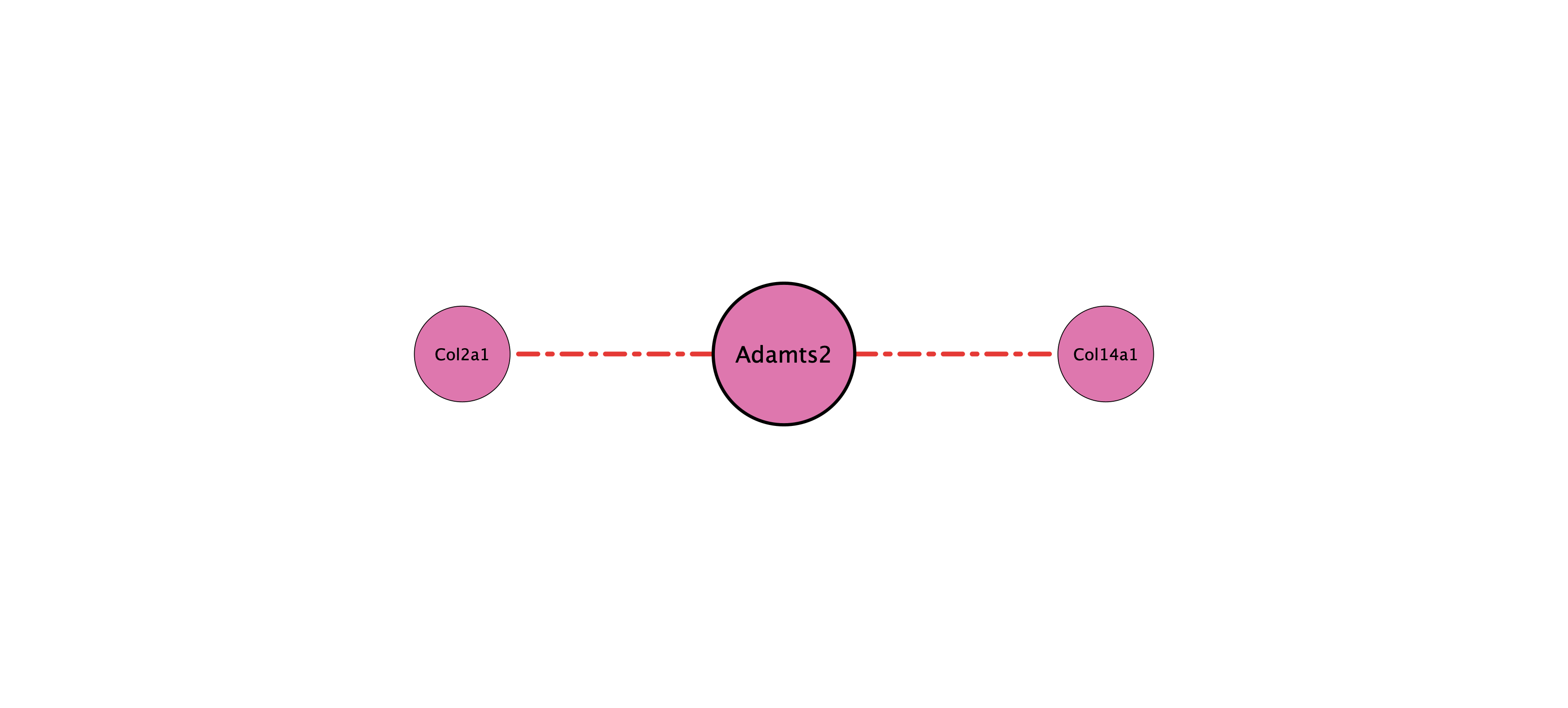 Adamts2 protein-substrate network (cleavage)
