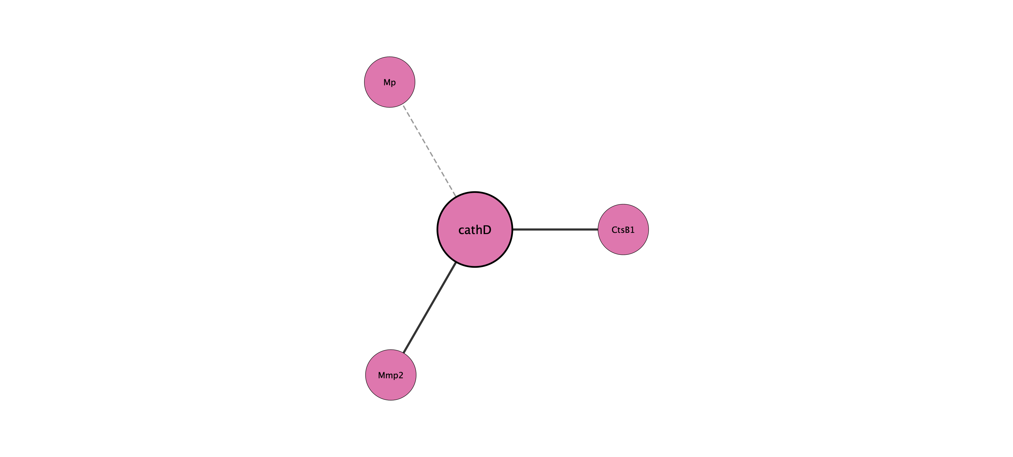 cathD protein interaction network