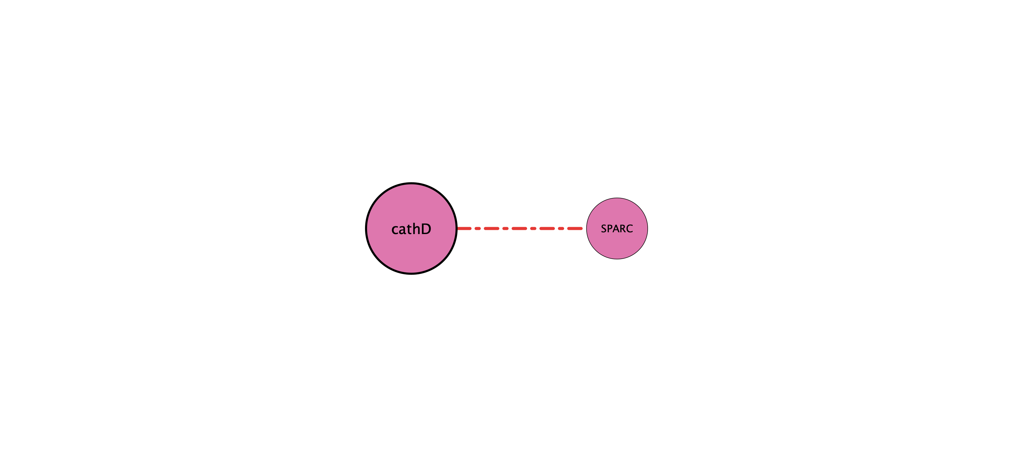 cathD protein-substrate network (cleavage)