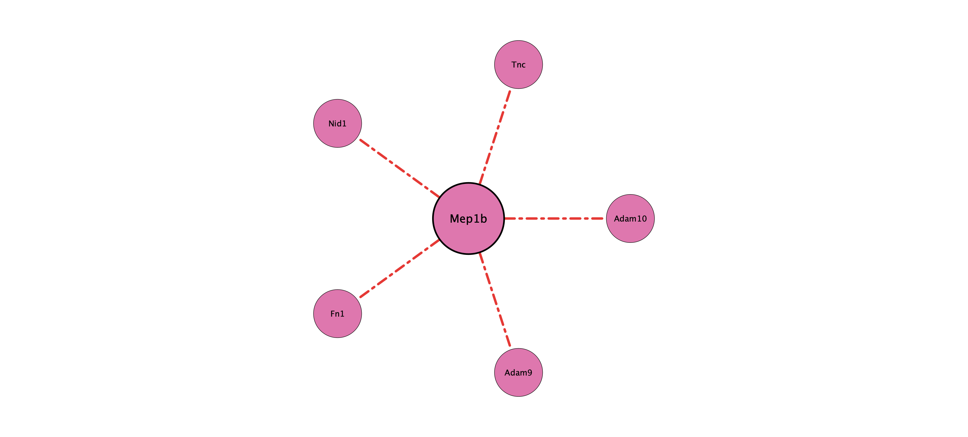 Mep1b protein-substrate network (cleavage)