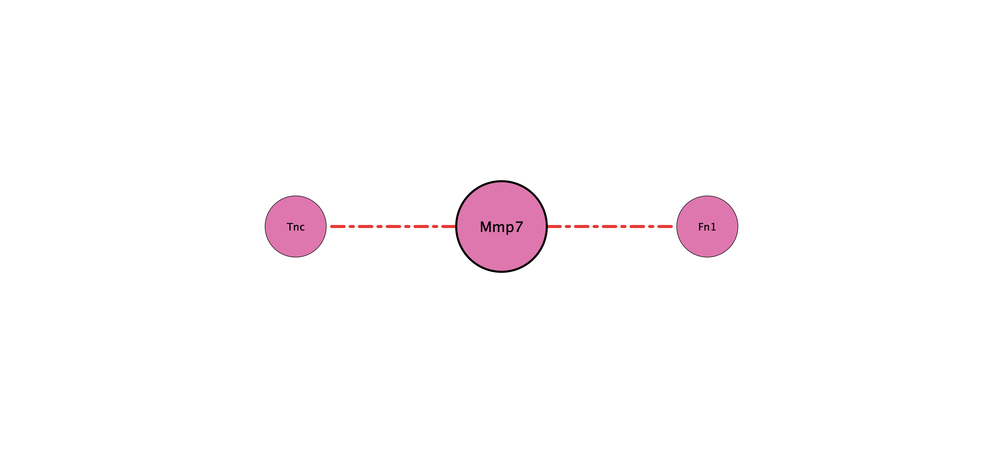Mmp7 protein-substrate network (cleavage)