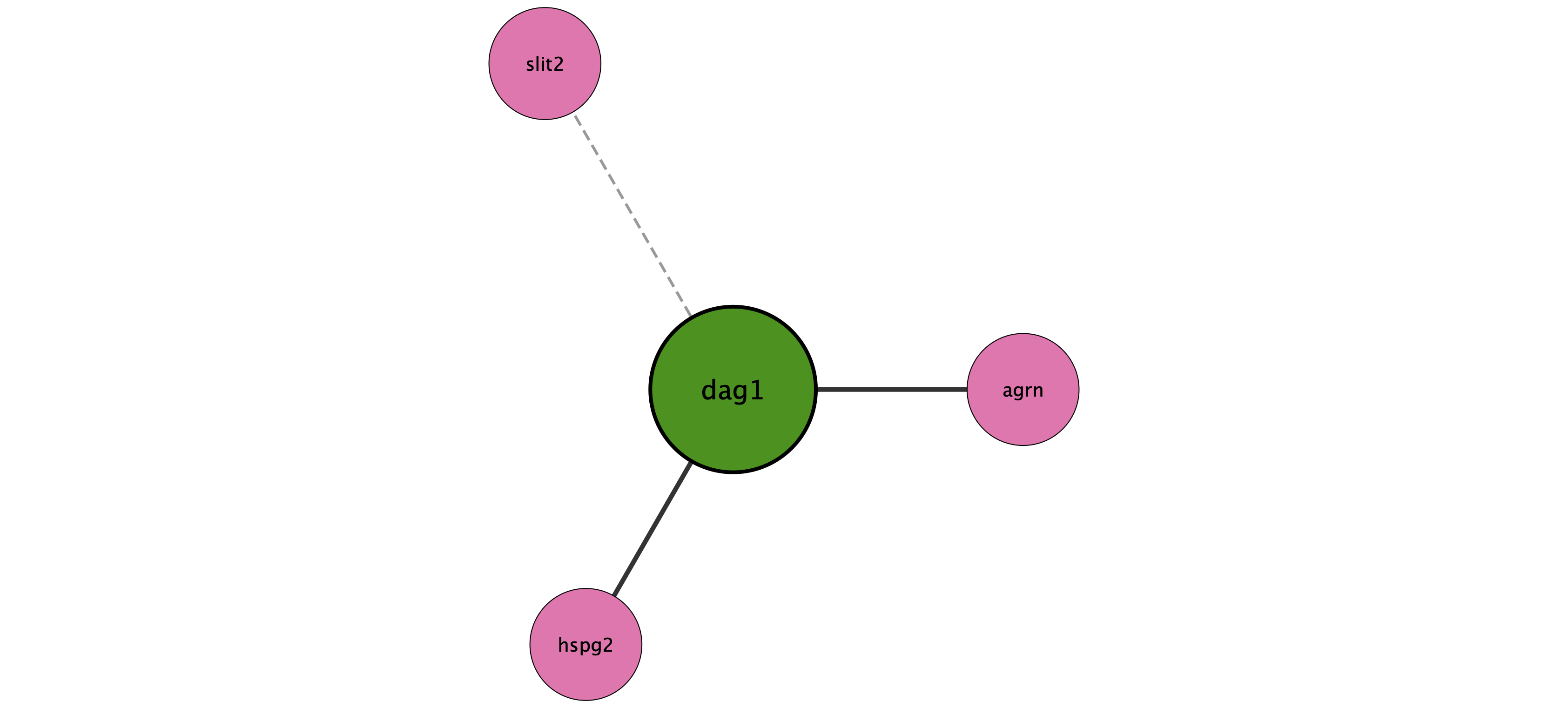 dag1 protein interaction network