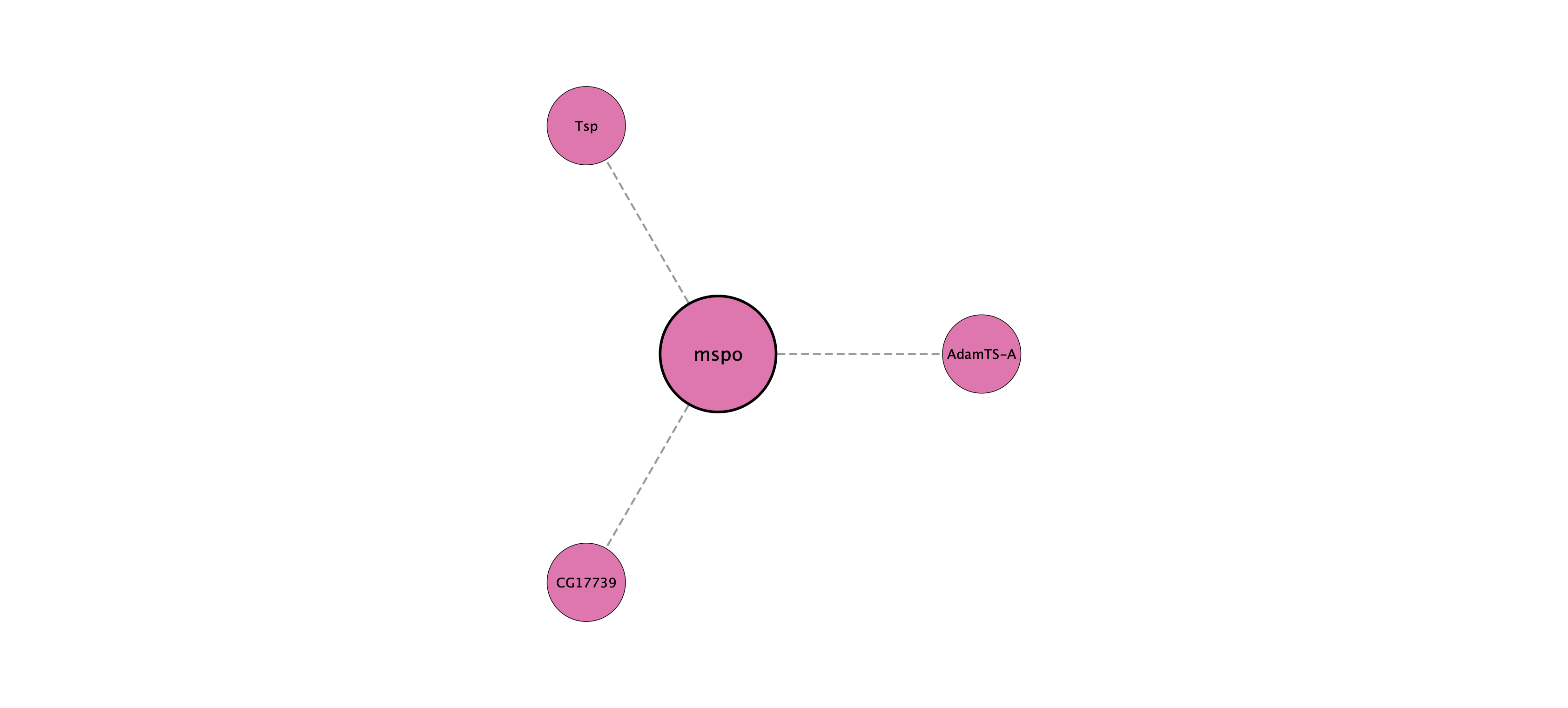 mspo protein interaction network